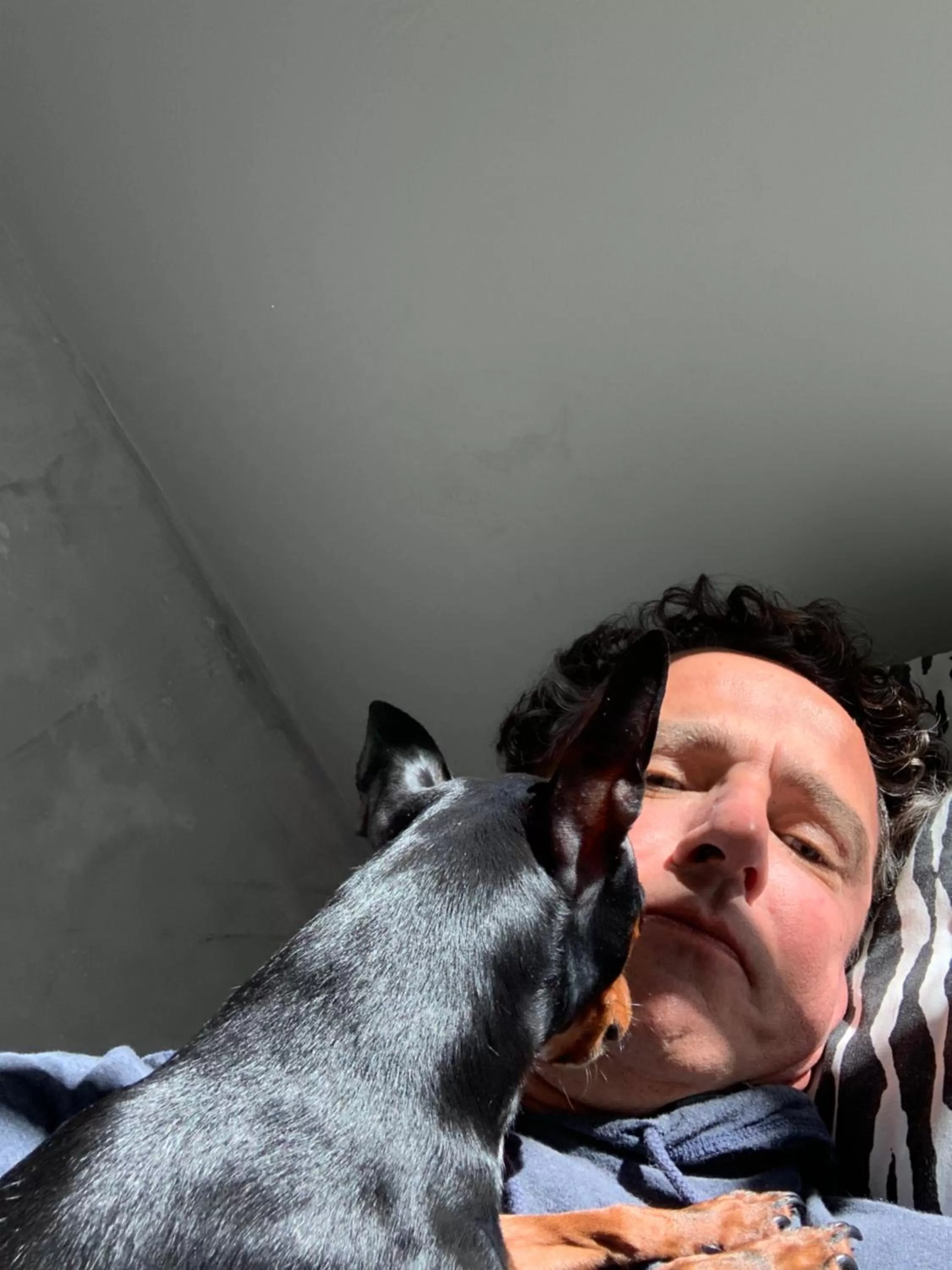 Pets in Beach House Floripa