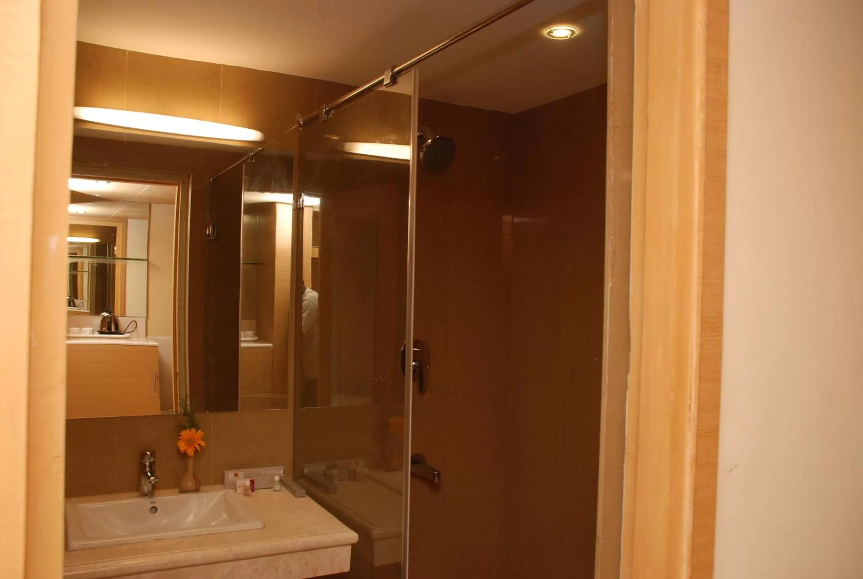 Bathroom in PLA Krishna Inn