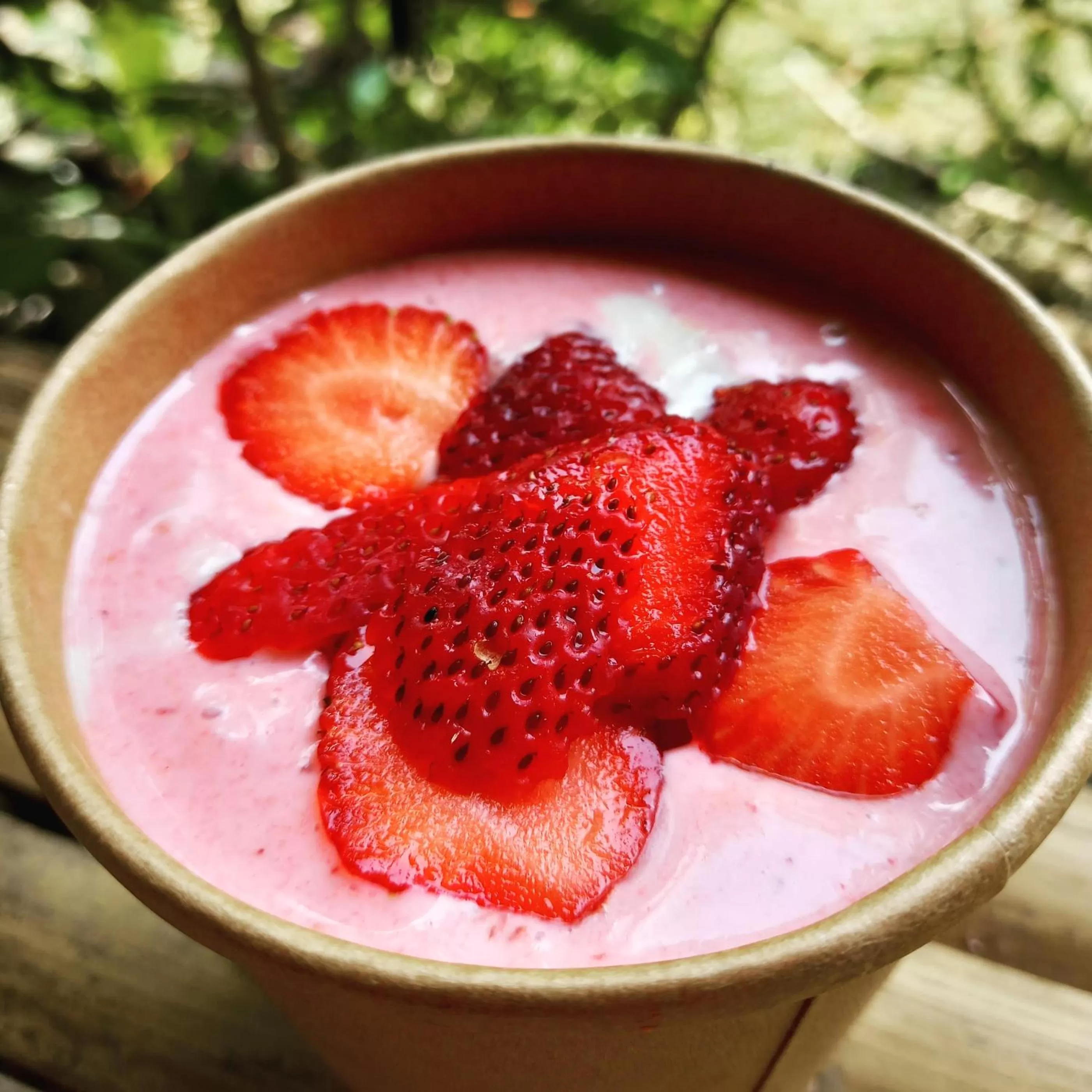 Banana Grove El Nido