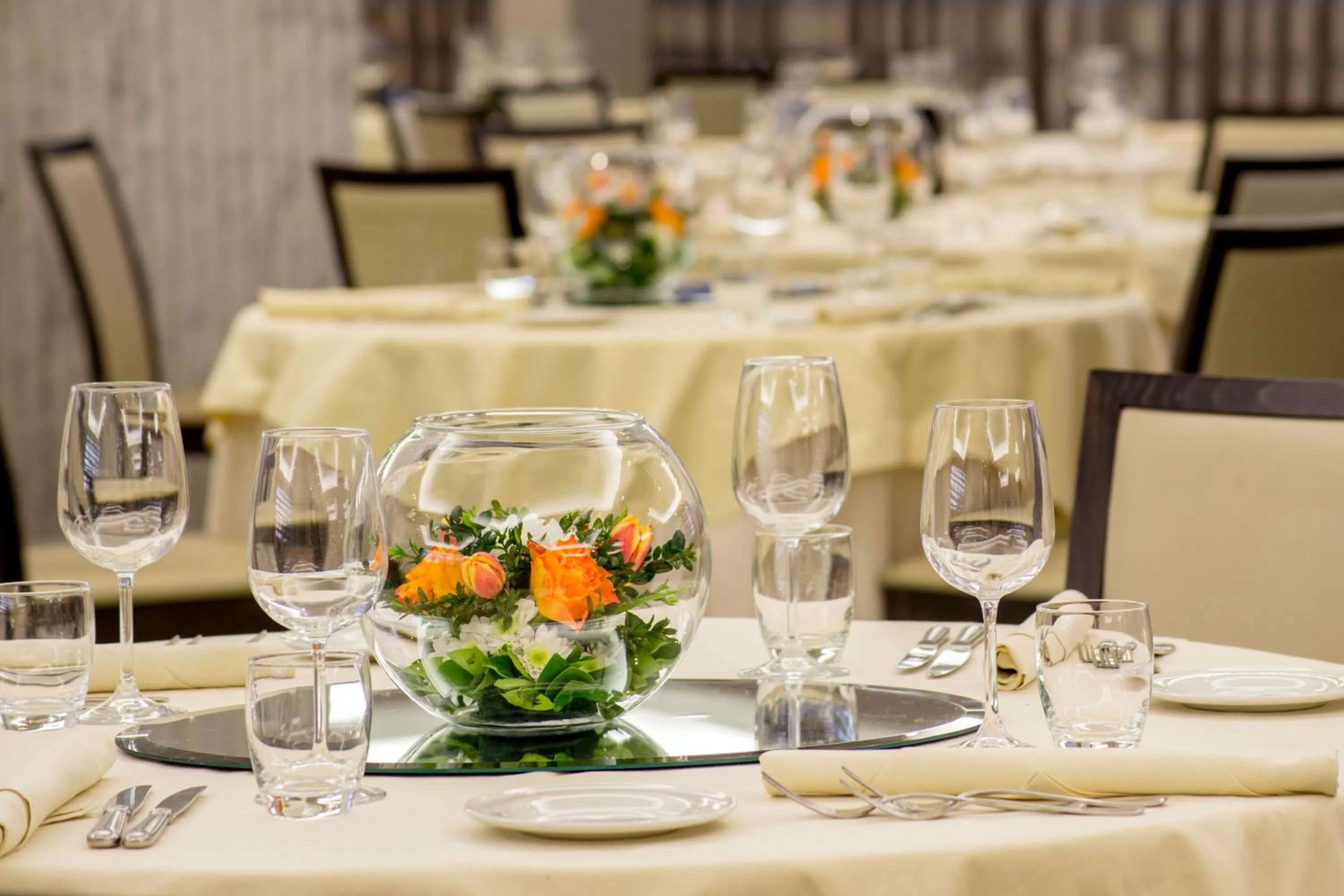 Business facilities in Enea Hotel Pomezia