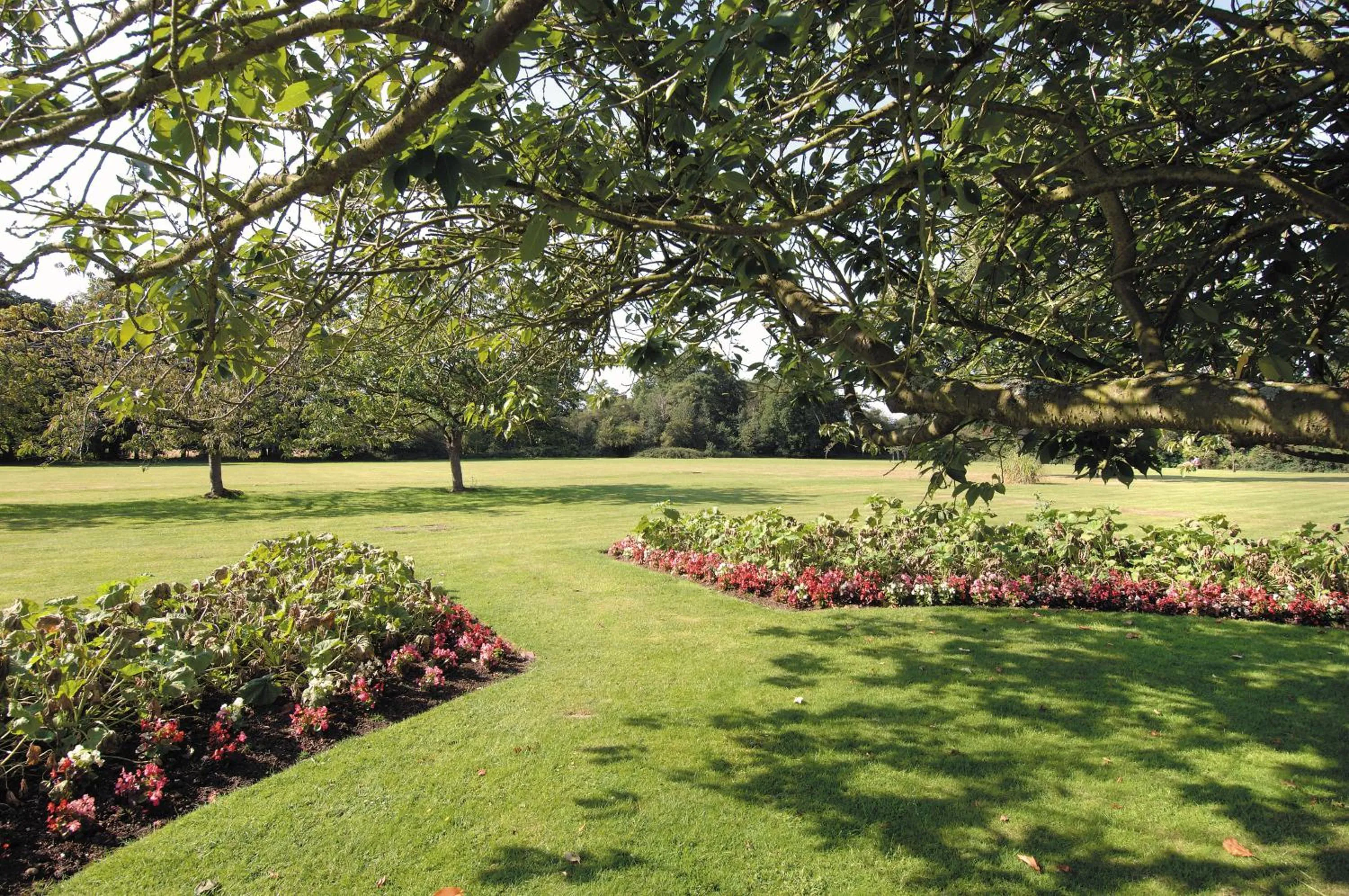 Spring in Grovefield House Hotel By Uno