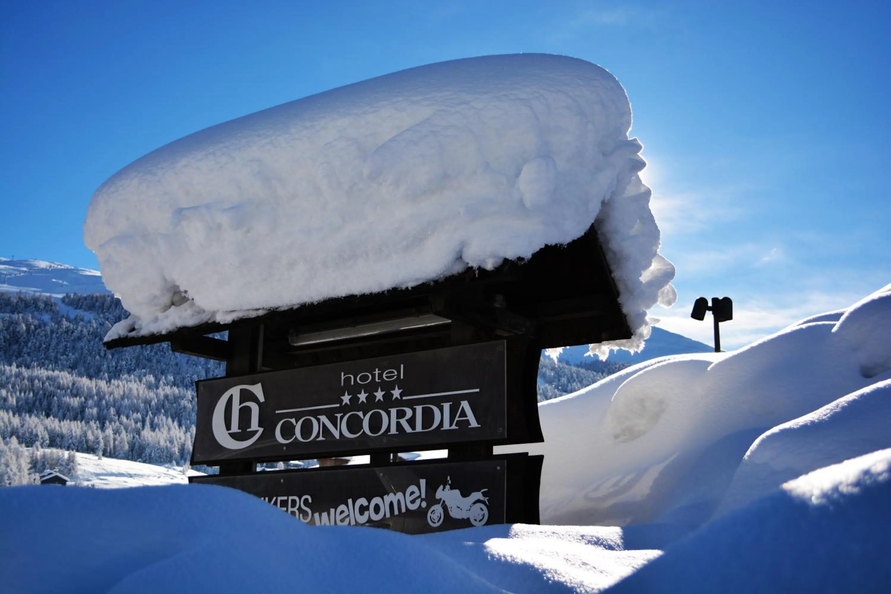 Decorative detail in Hotel Concordia