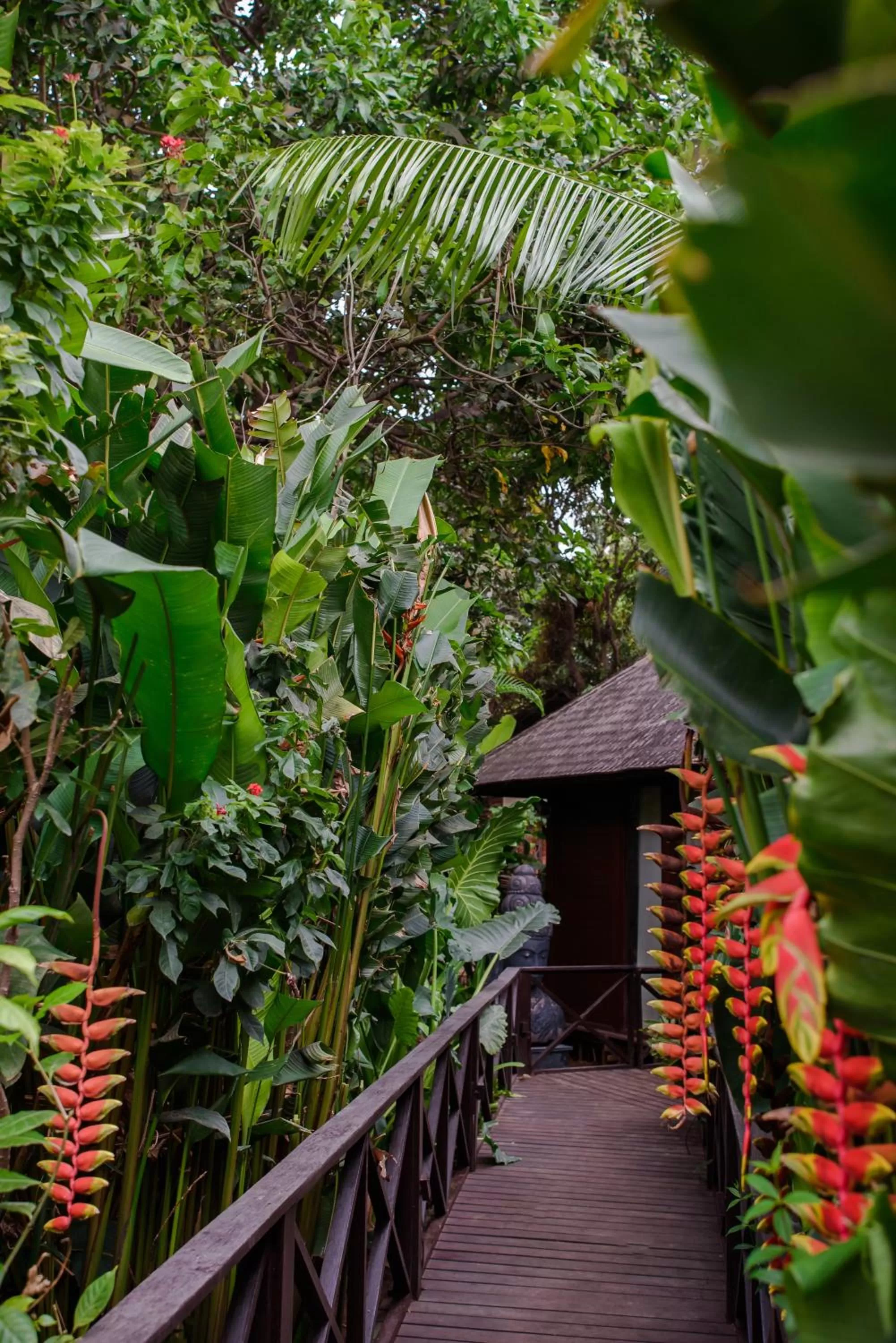 Spa and wellness centre/facilities in Novotel Goa Resort & Spa Candolim