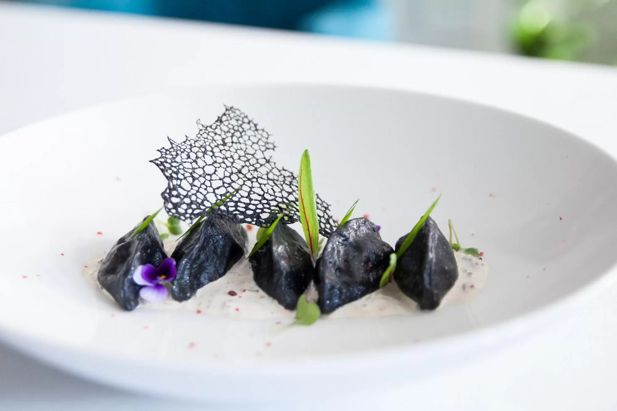 Food close-up in Matejki 8