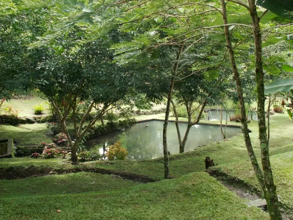 Garden in Hospedaje La Naciente