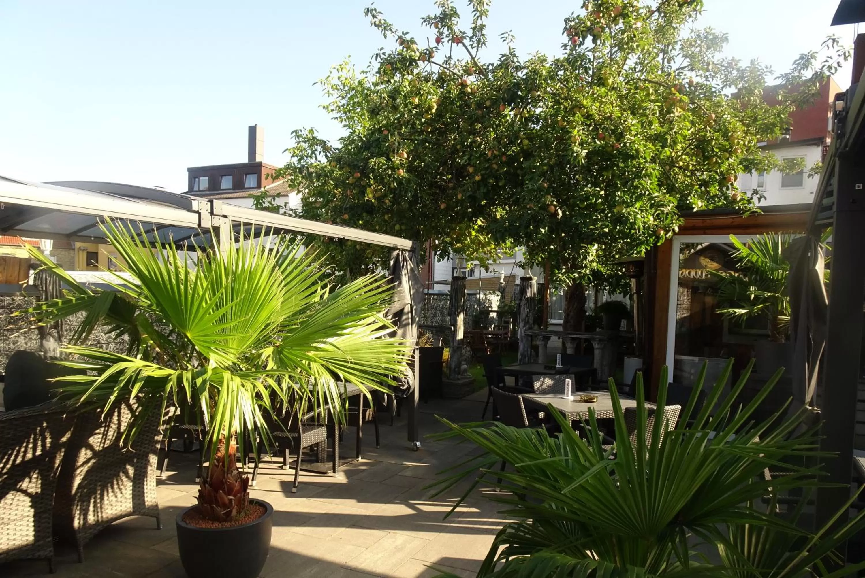 Garden in Hotel Deutscher Hof