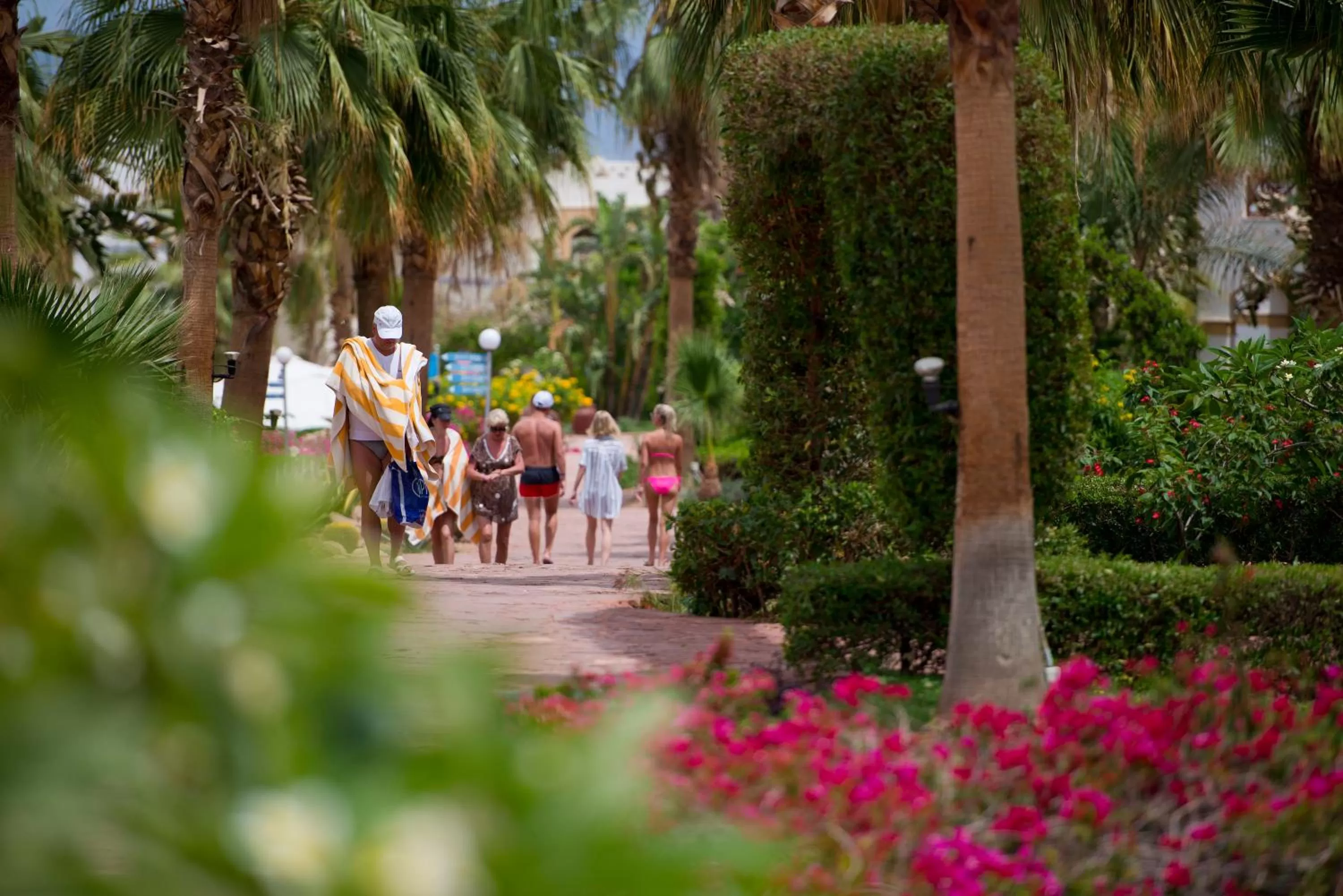 People in Amphoras Blu Ultra-AI Adults Friendly