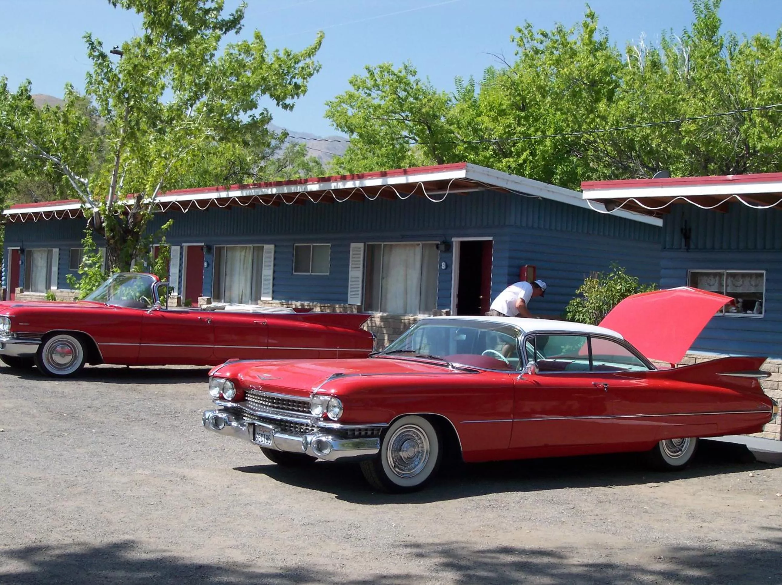 group of guests in Toiyabe Motel
