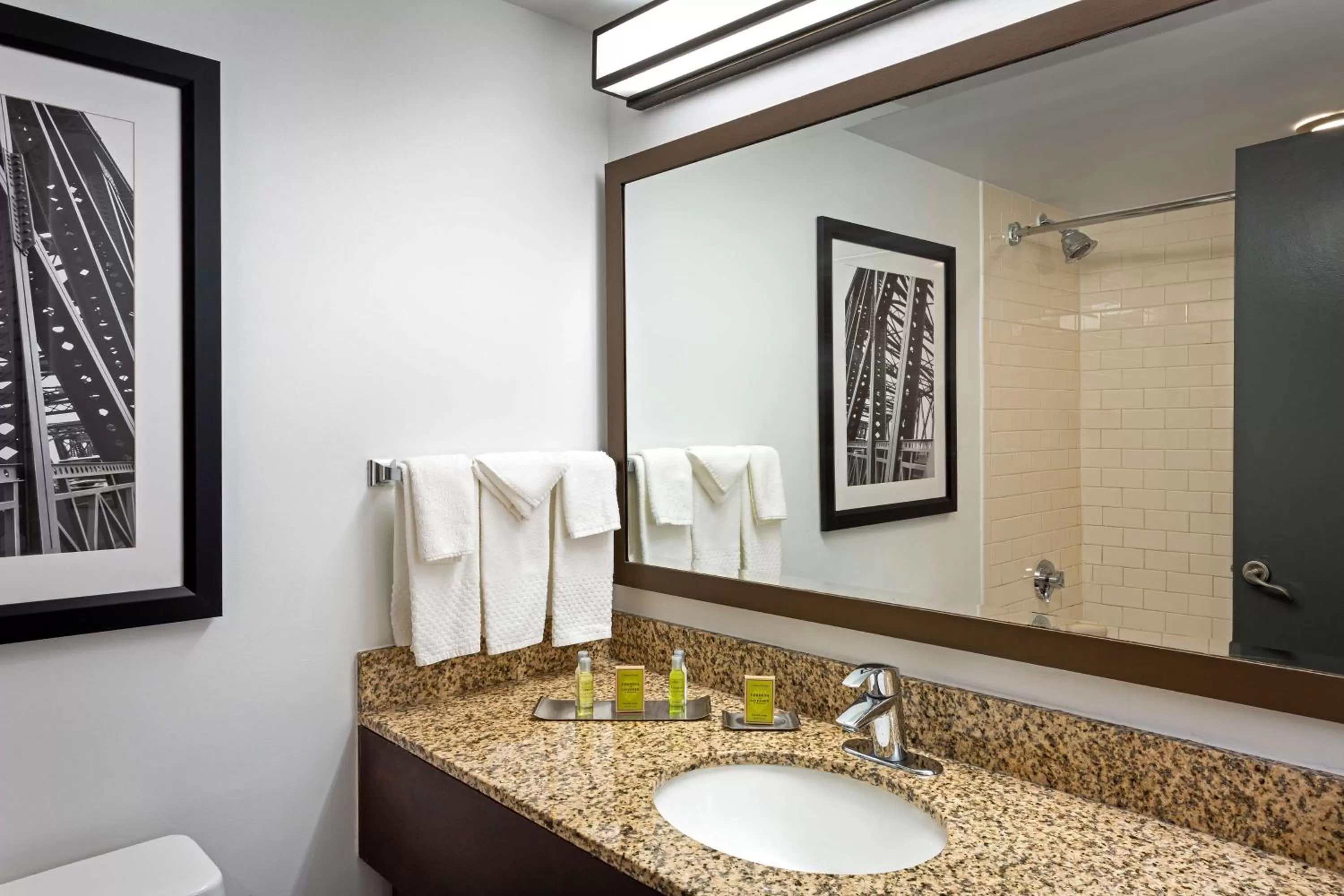 Bathroom in DoubleTree by Hilton Washington Meadow Lands Casino Area