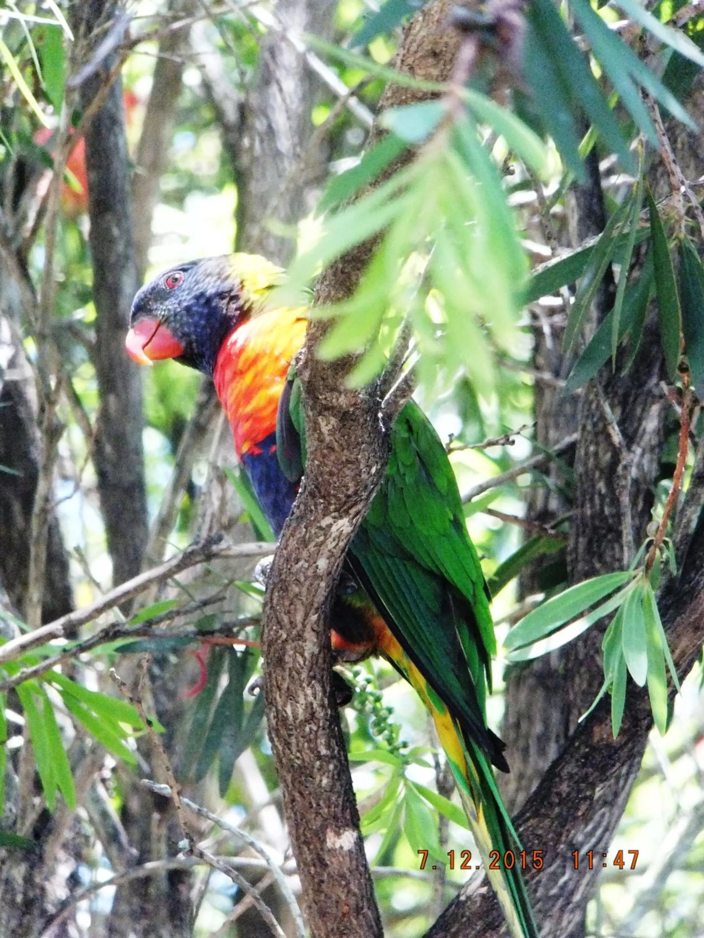 Garden view in Torquay Terrace Bed & Breakfast