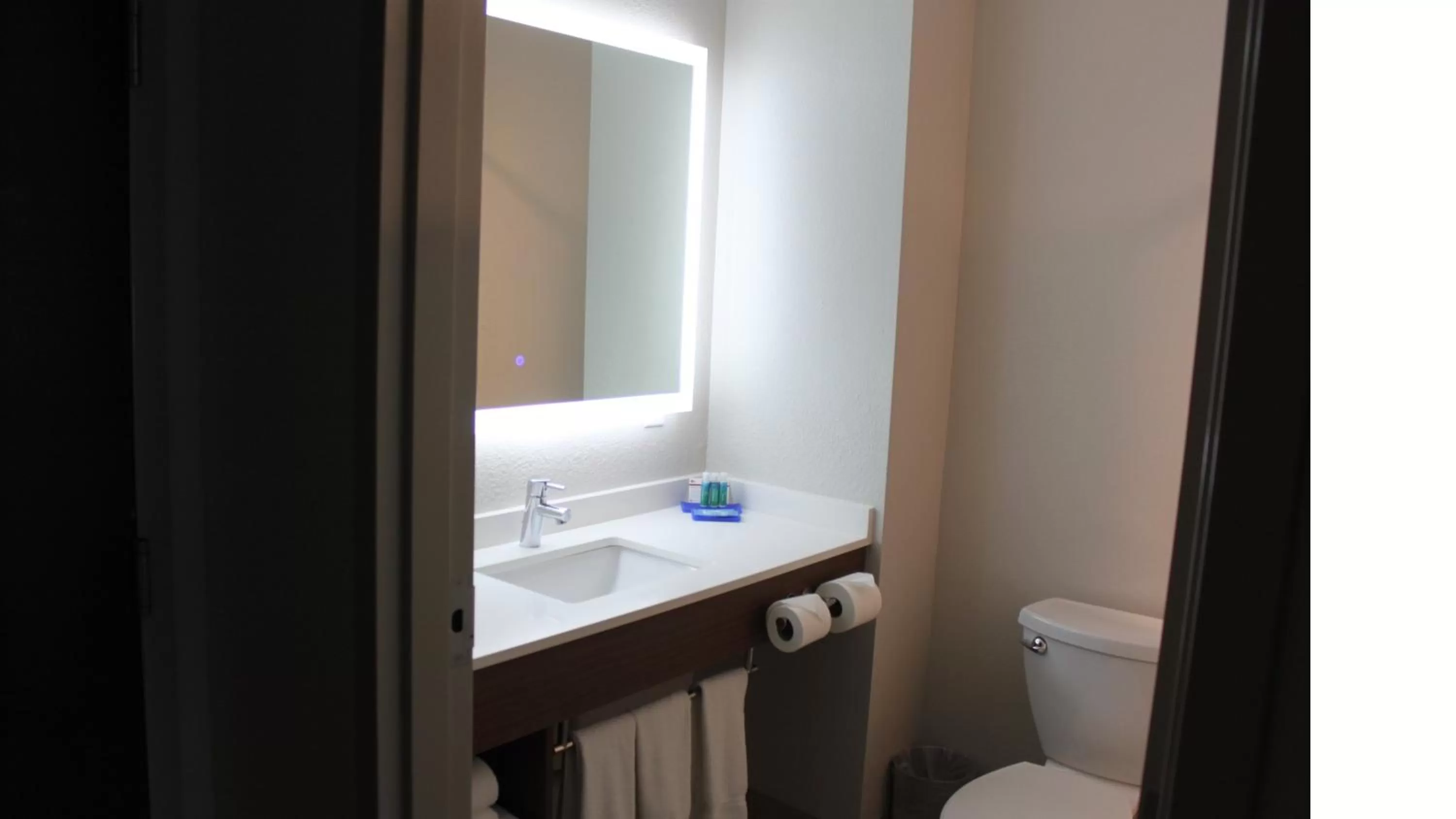 Bathroom in Holiday Inn Express Orlando - South Davenport by IHG