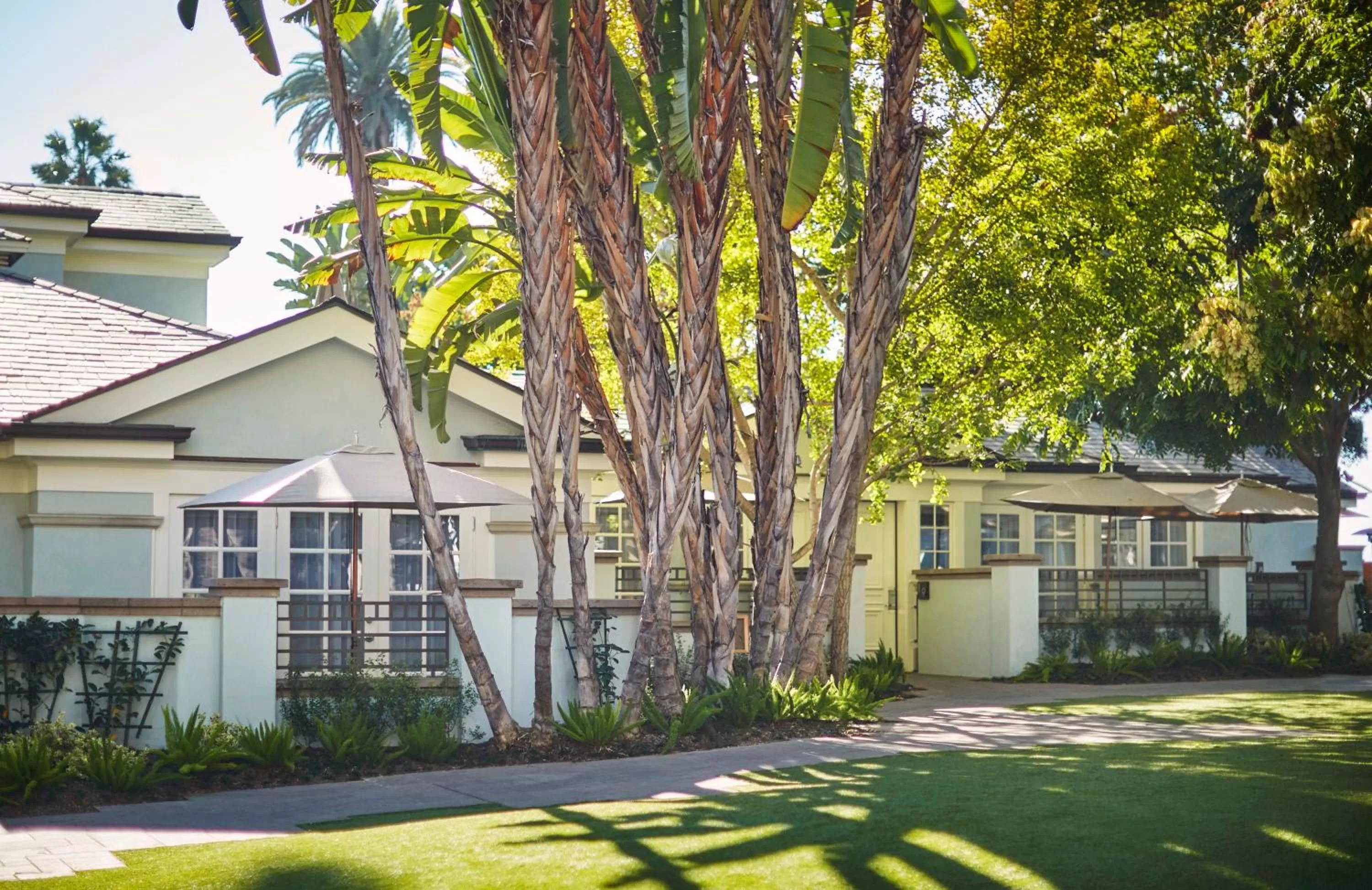 Garden in Fairmont Miramar Hotel & Bungalows