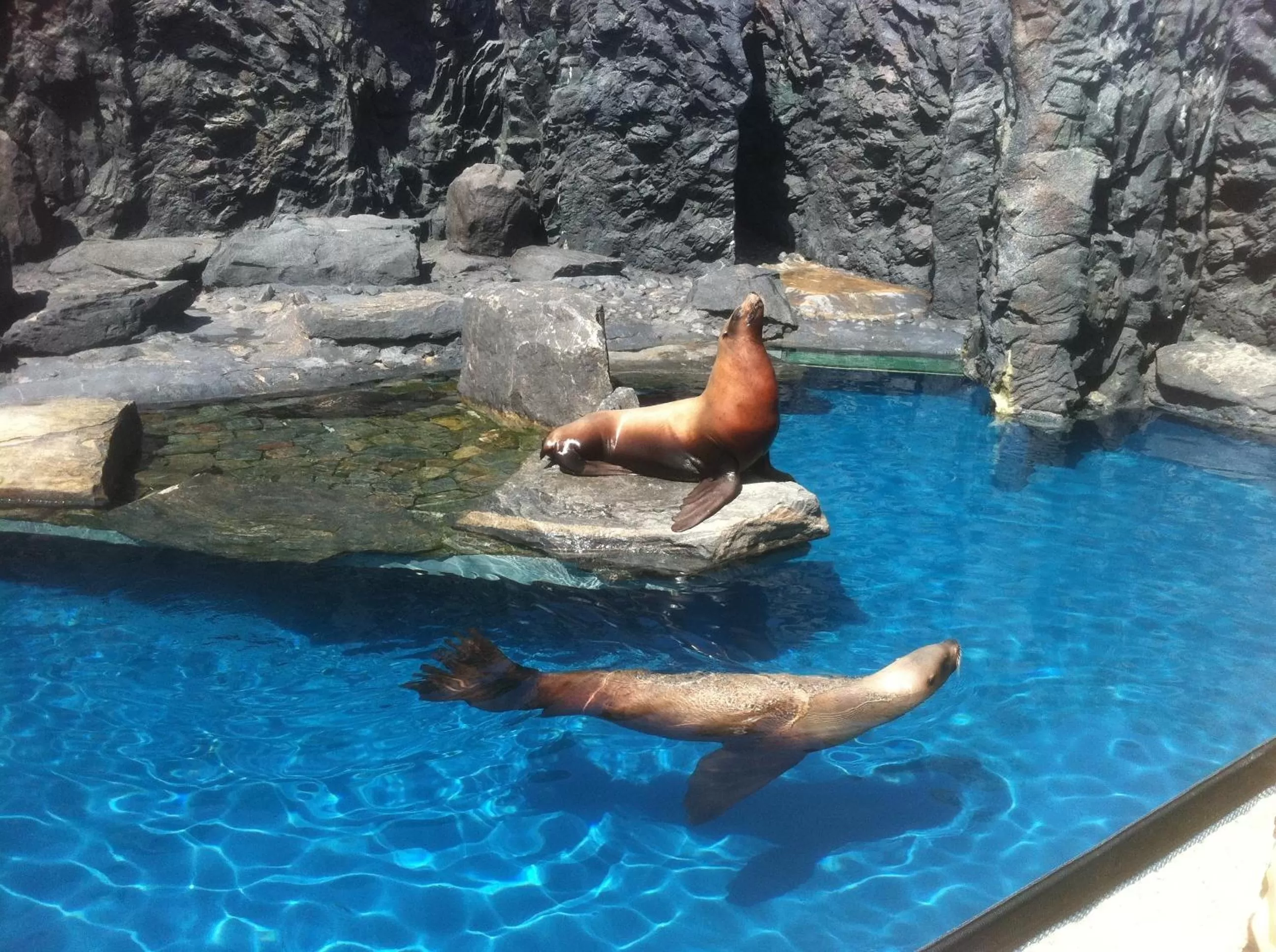 Area and facilities in Taber Inn