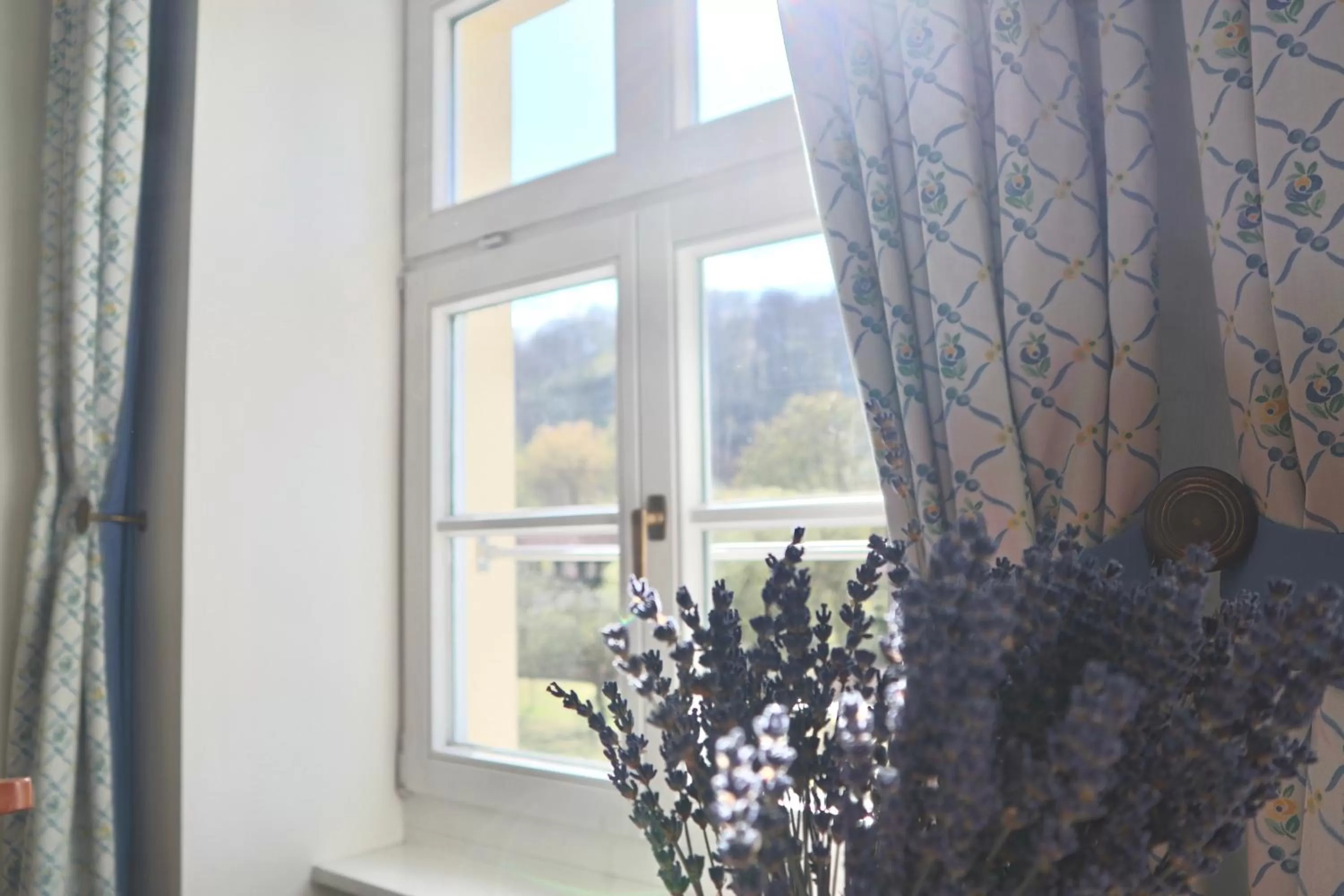 View (from property/room) in Hotel Alter Packhof