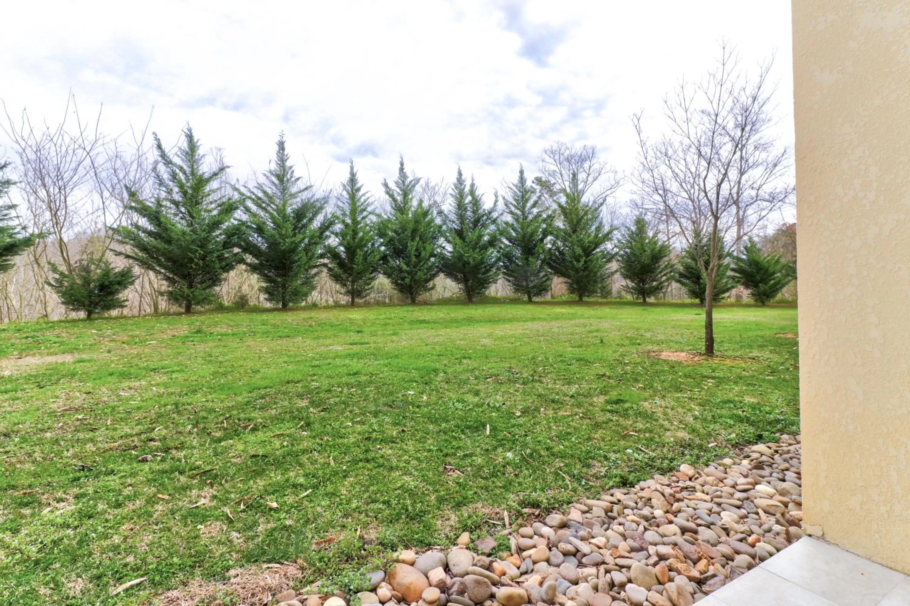 Garden in Richard's Retreat