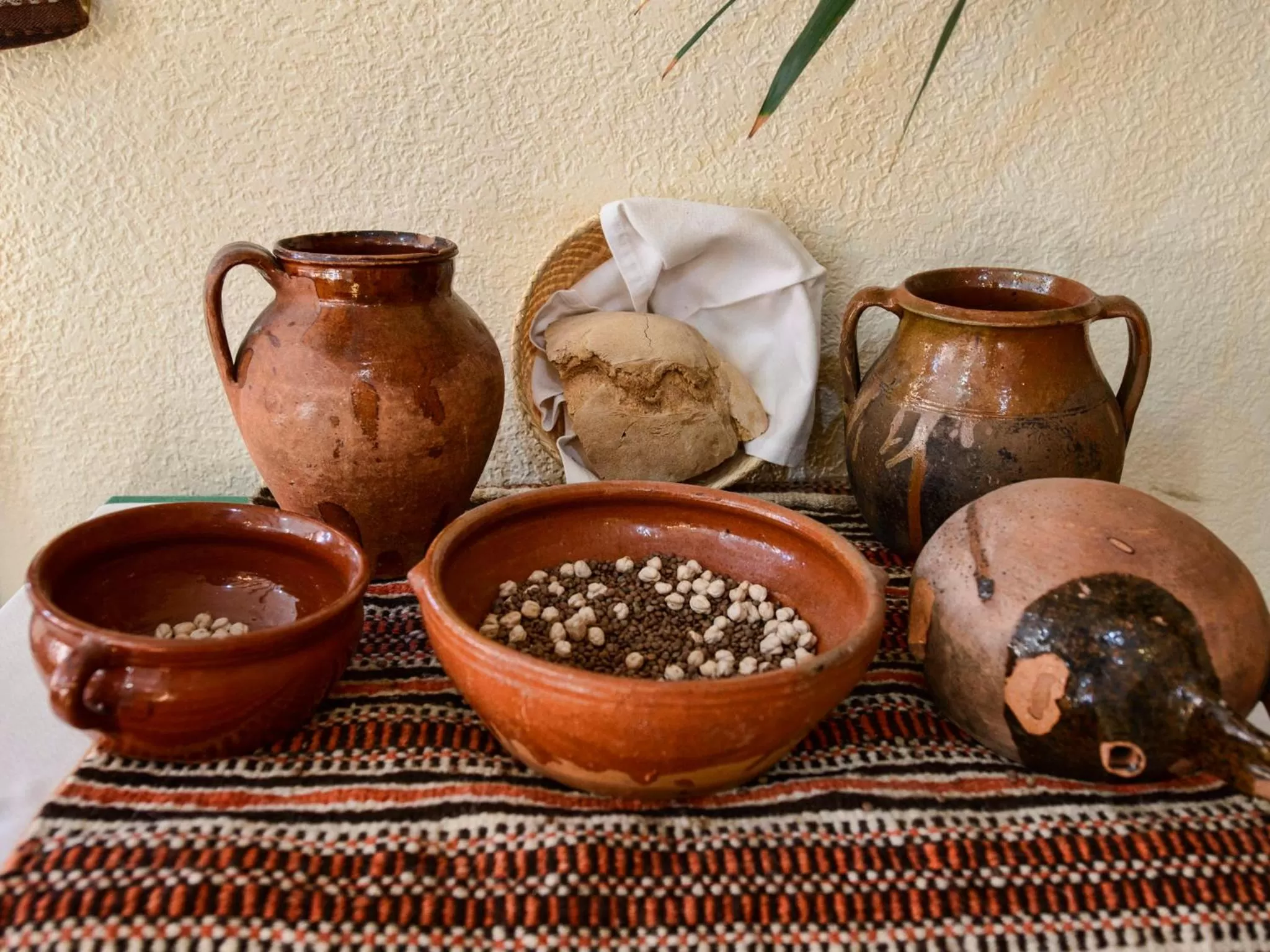 Restaurant/places to eat in Tierra de la Reina