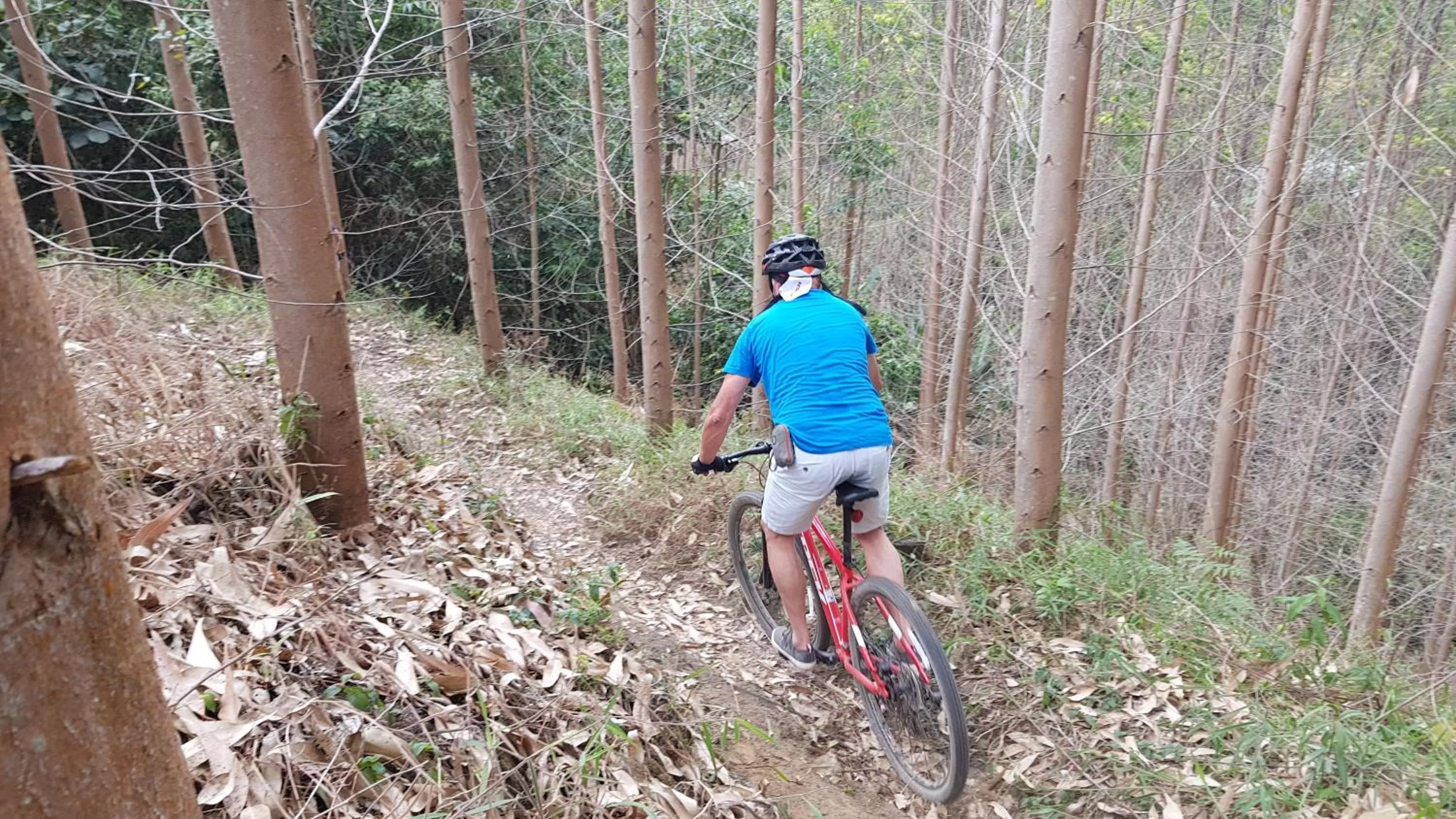 Bed, Biking in Beta Hotel