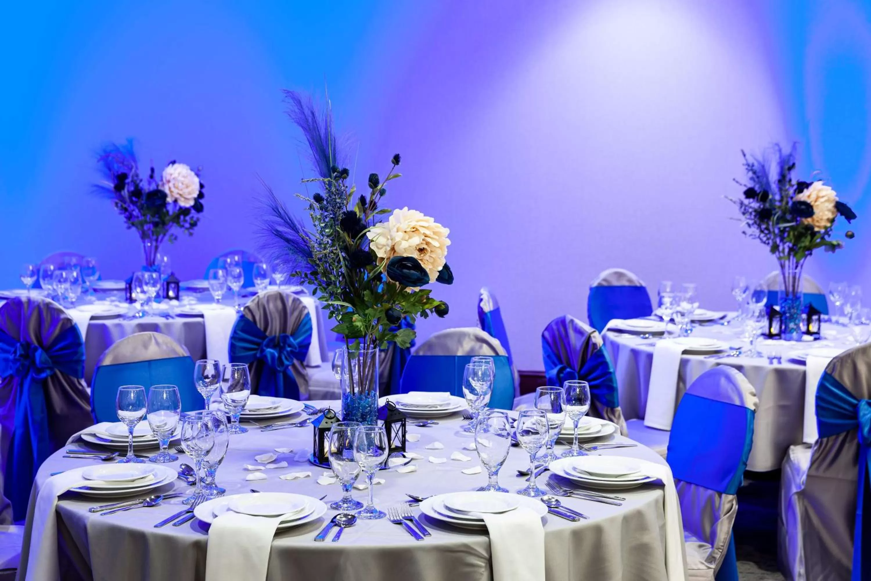 Meeting/conference room in Hilton Garden Inn Chicago O'Hare Airport