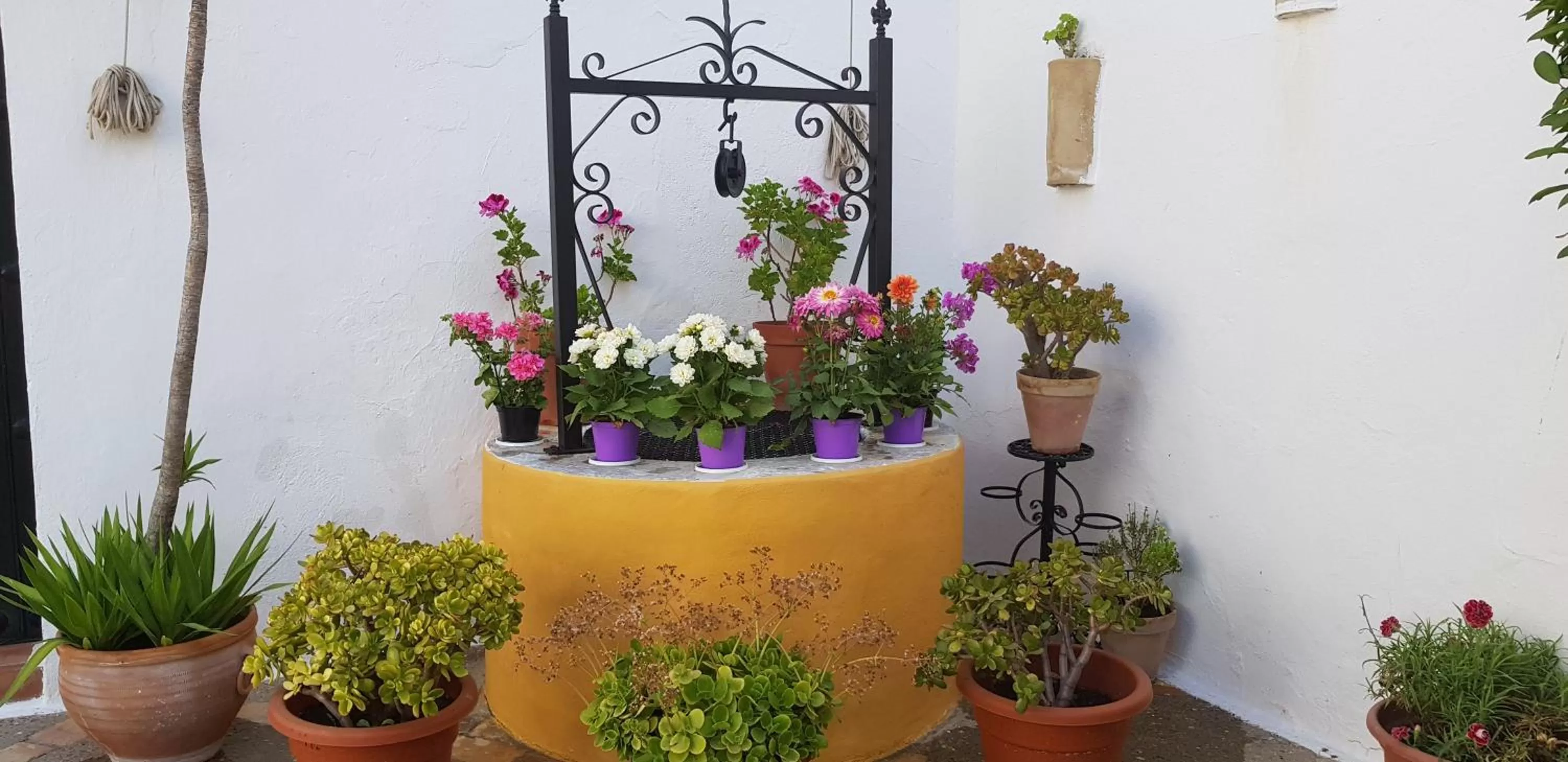 Balcony/Terrace in Hacienda El Santiscal