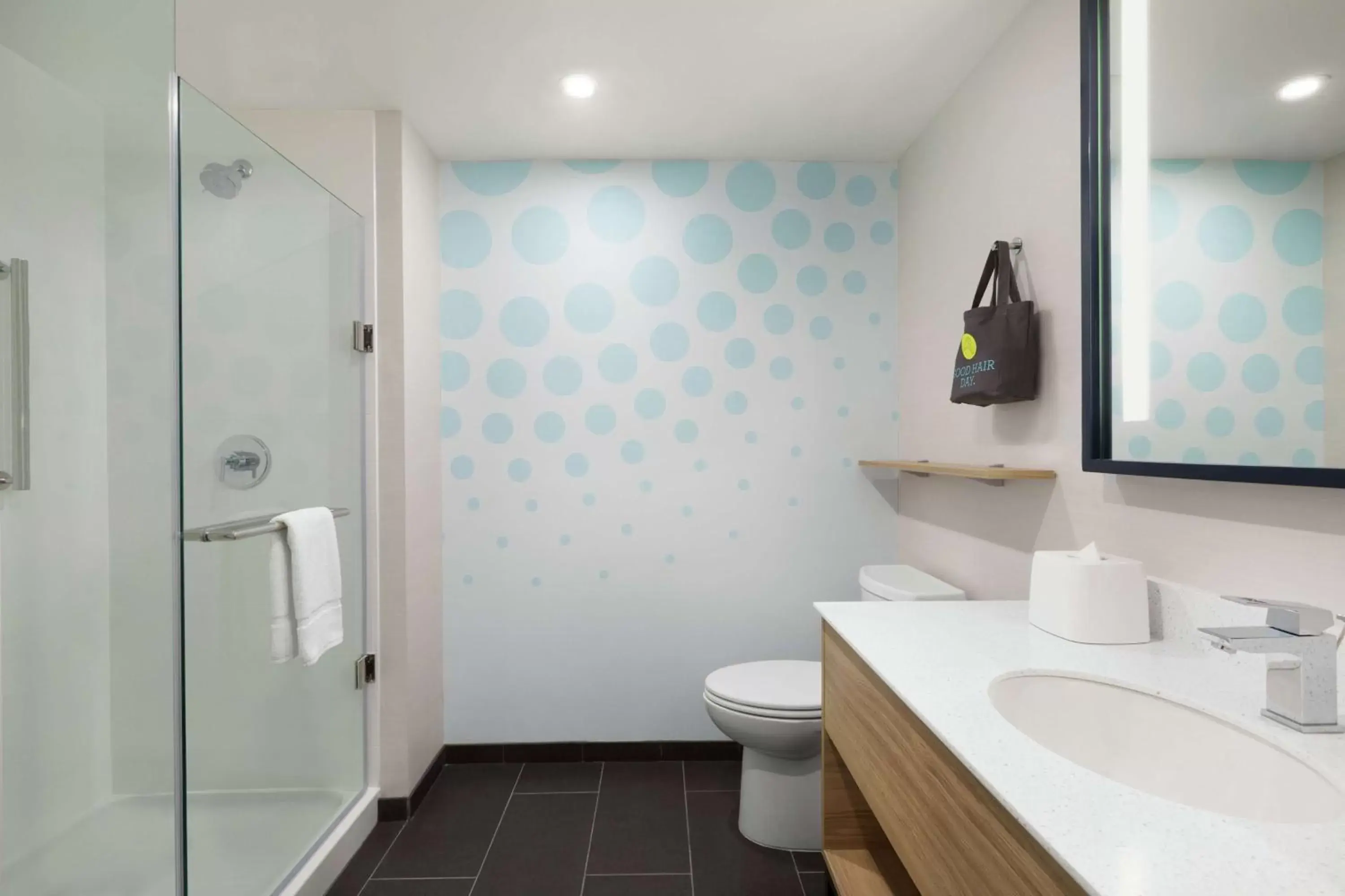 King Room - Hearing Accessible in Tru by Hilton Albany Crossgates Mall King Room - Hearing Accessible in Tru by Hilton Albany Crossgates Mall