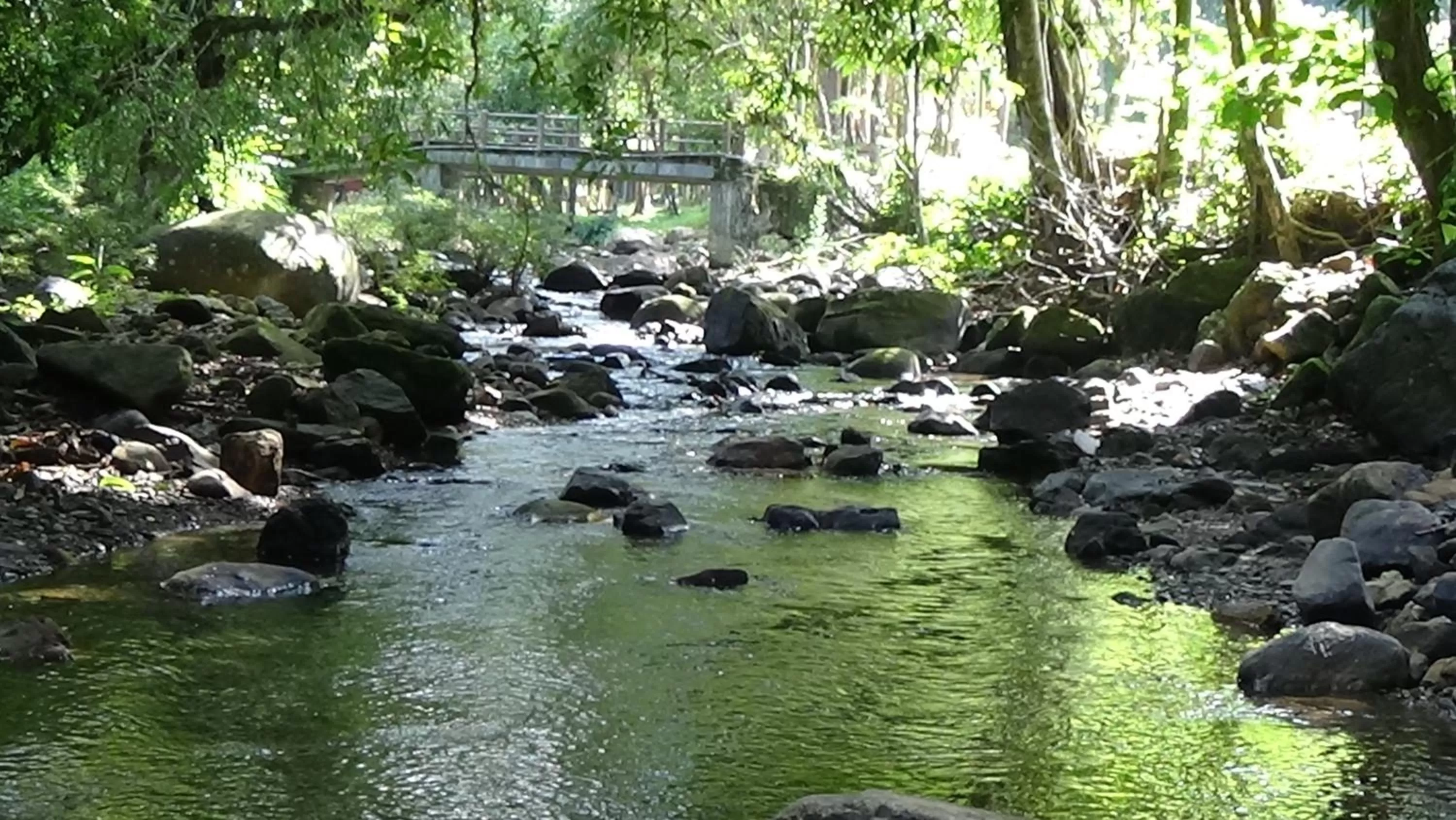 Natural landscape in Tree Tops River Huts