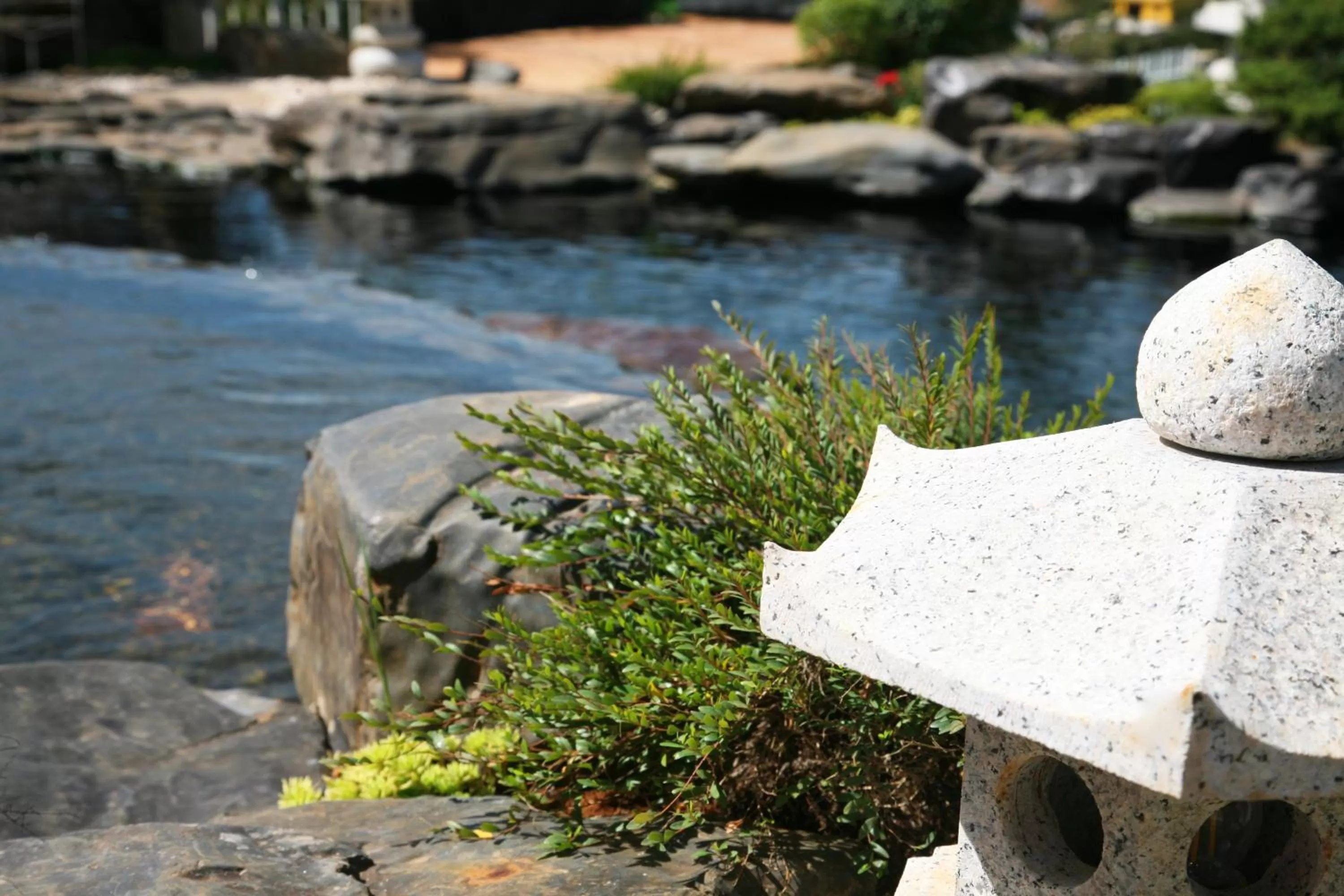 Natural landscape in Mùa Tím Villa