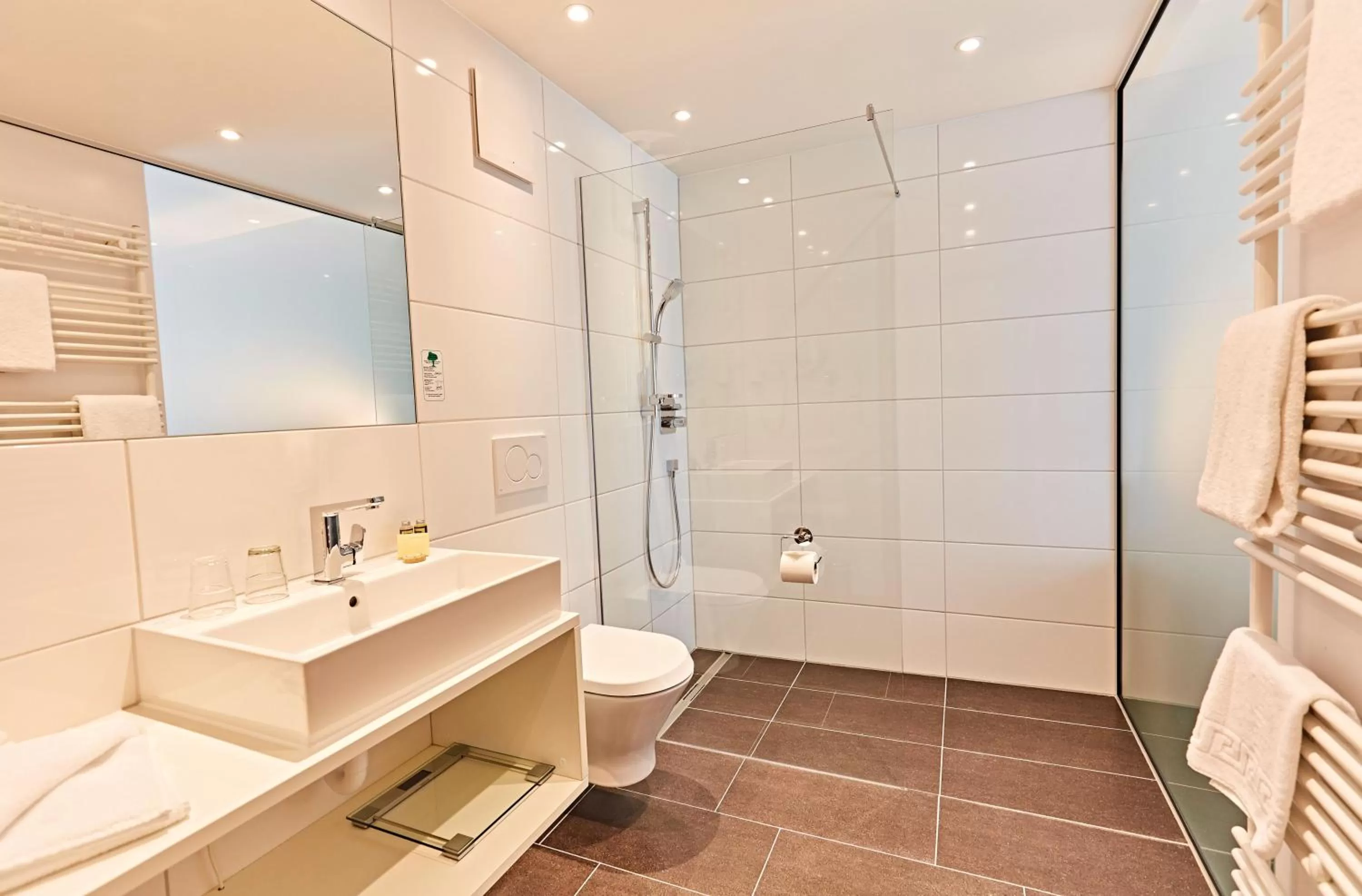 Toilet in Vital Hotel an der Therme GmbH