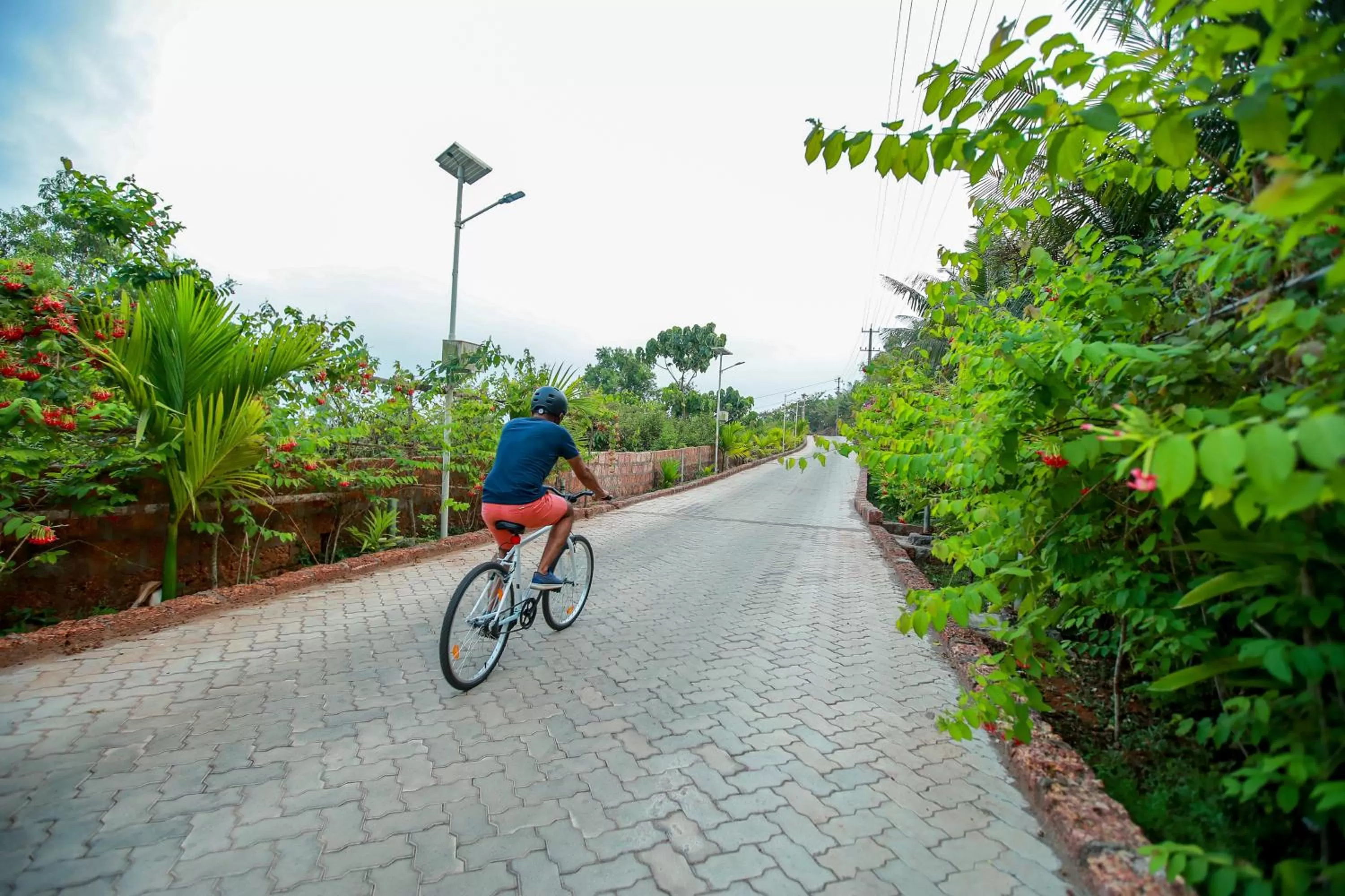 Cycling in The Estate Resort , Mangalore