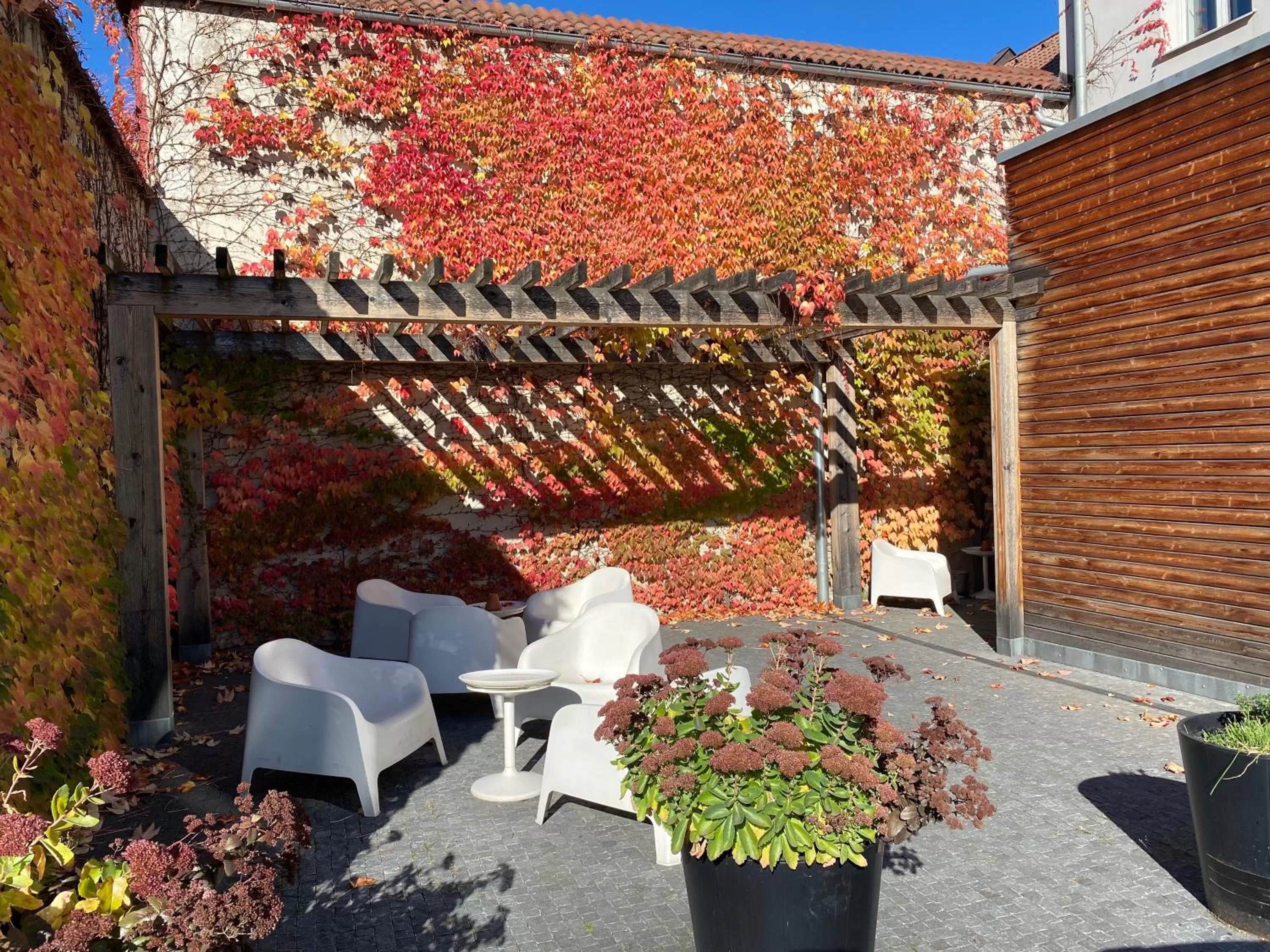 Patio in Hotel city.city