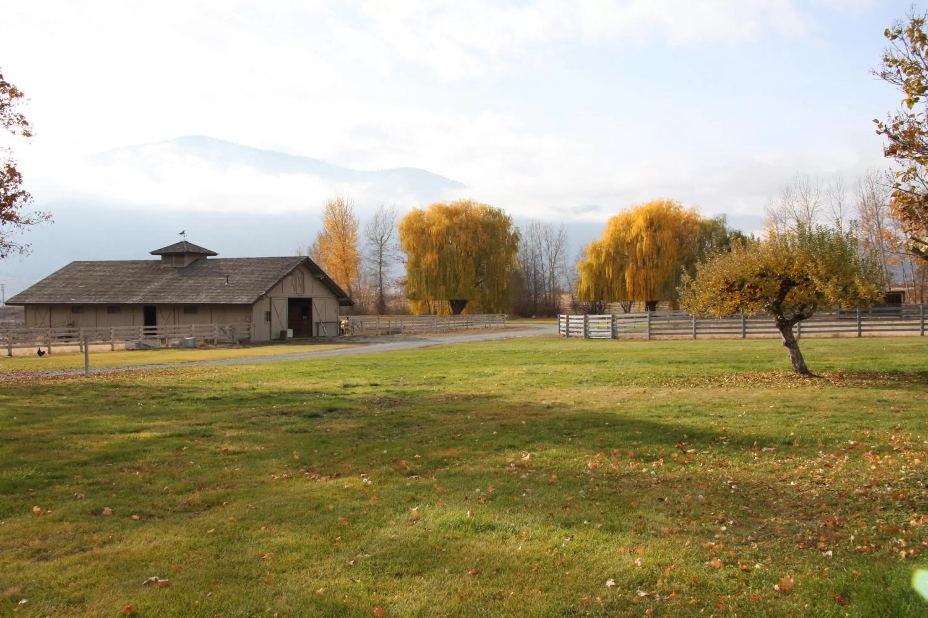 Horse-riding in Casia Lodge and Ranch