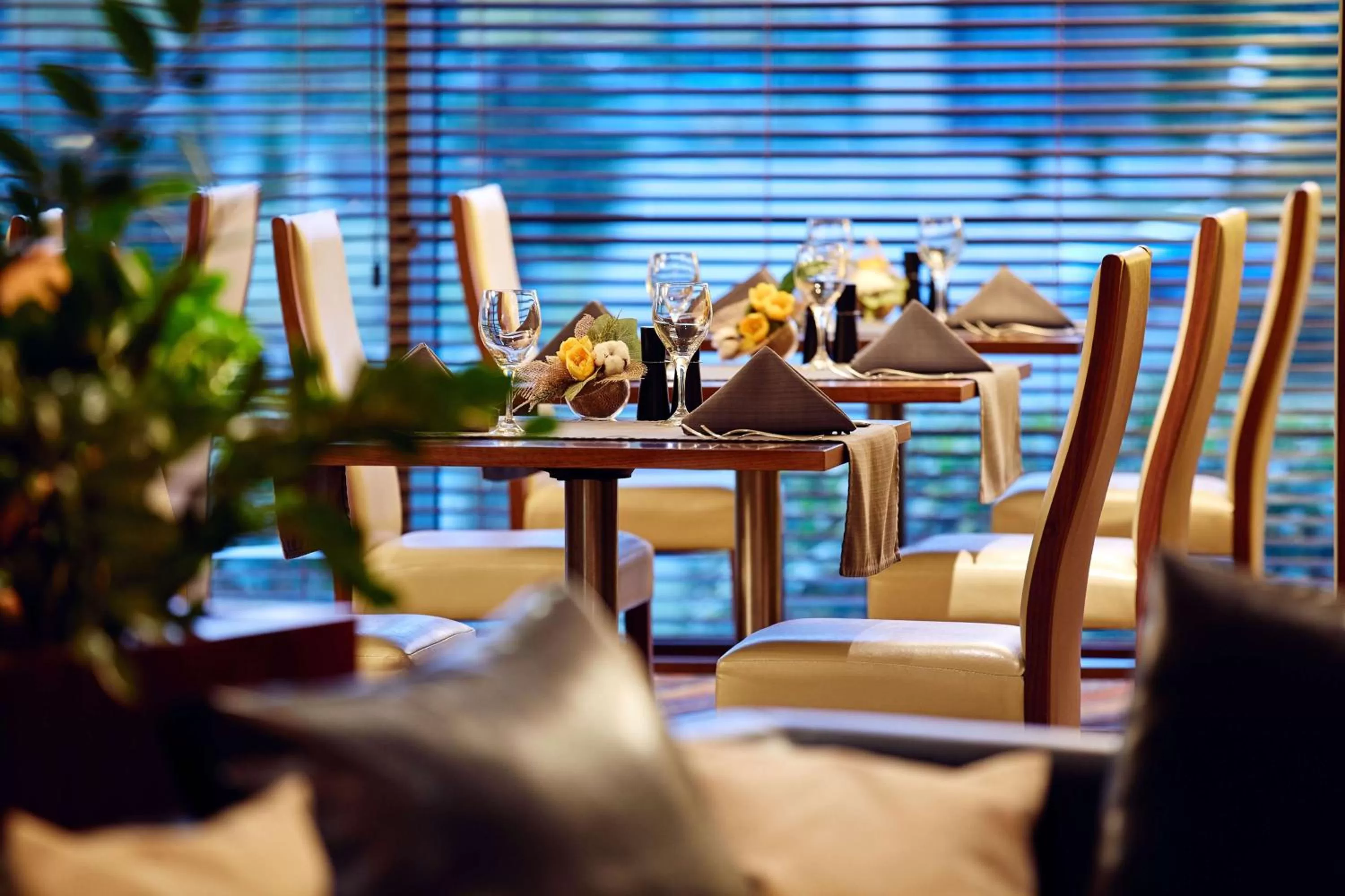 Restaurant/places to eat in Hilton Garden Inn Rzeszów