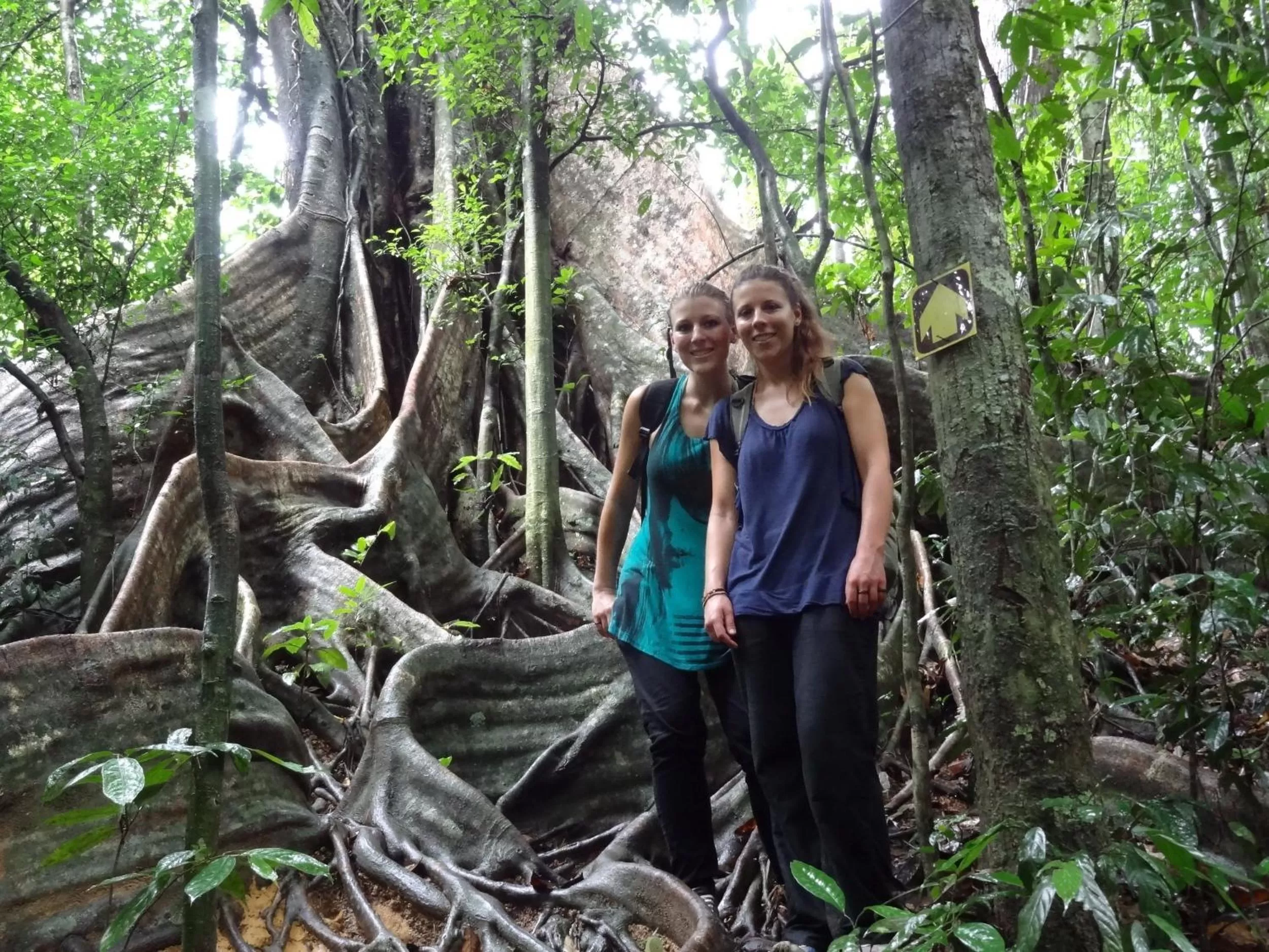 Guests in Khao Sok Palmview Resort