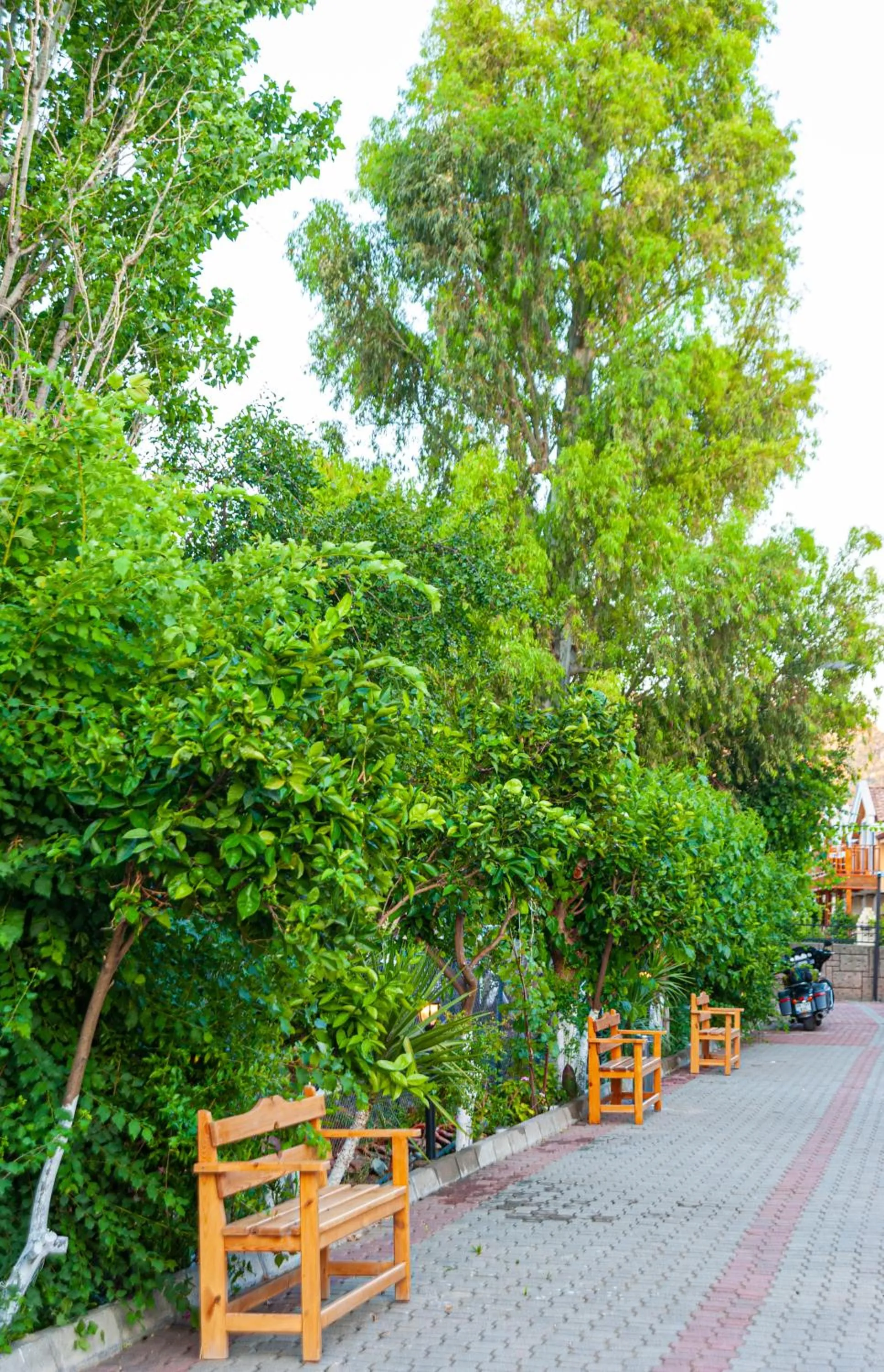 Garden in Portakal Hotel Dalyan