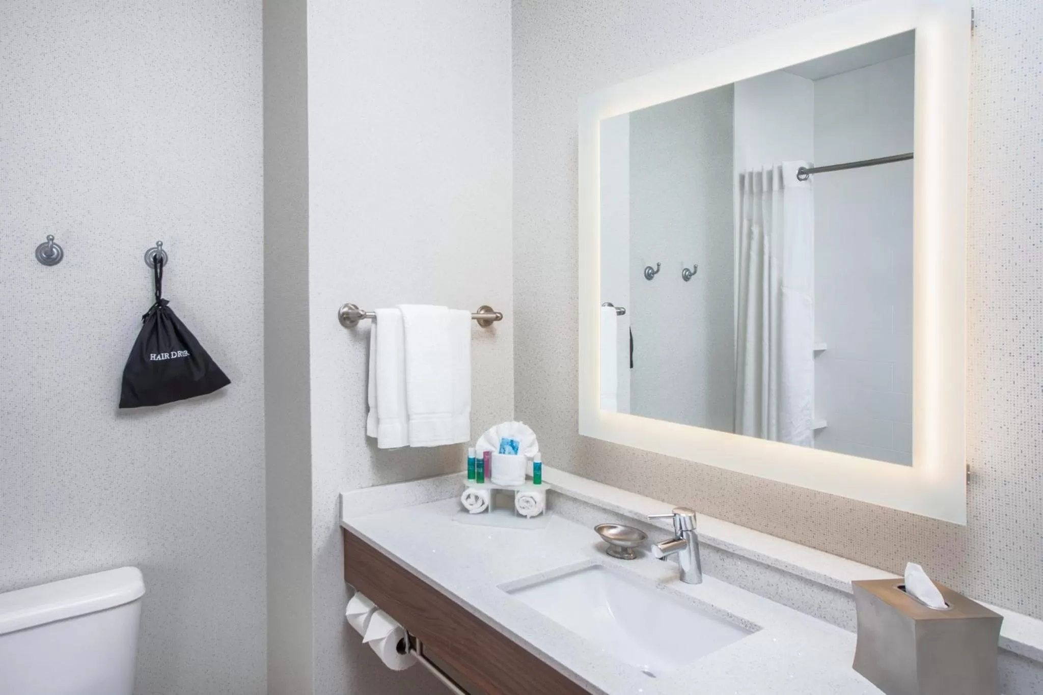 Bathroom in Holiday Inn Express & Suites Texarkana by IHG