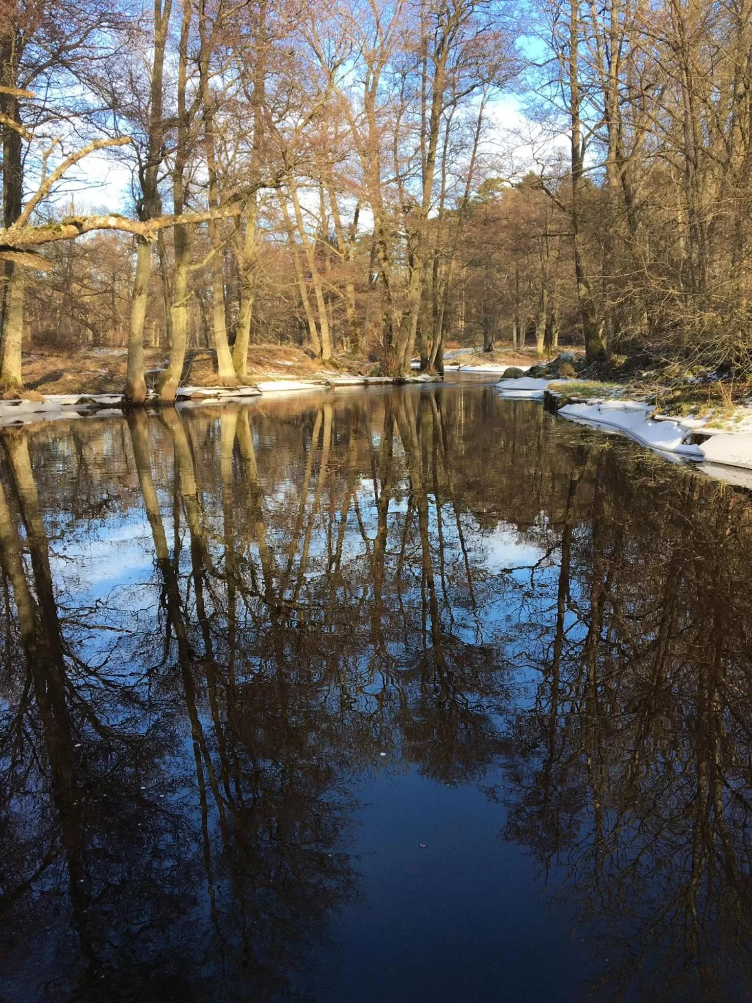 Natural landscape in Tryde 1303 B&B på Österlen