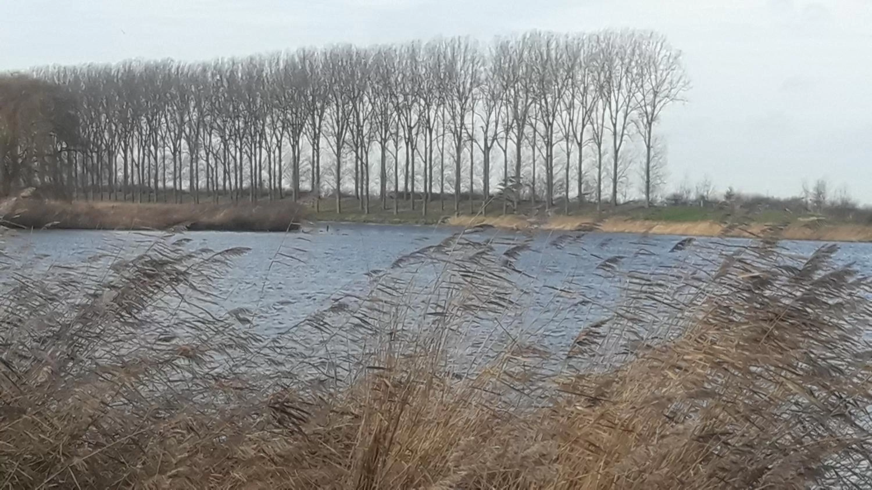 Off site, Winter in B&B De Hemelse Polder