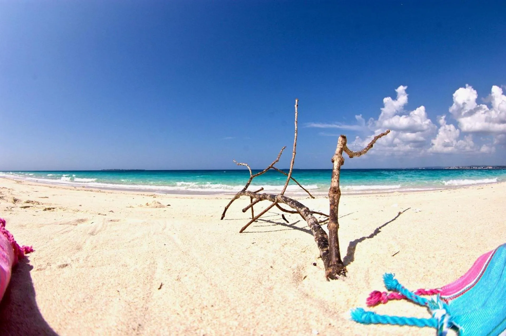 Natural landscape in Sea View Lodge Boutique Hotel