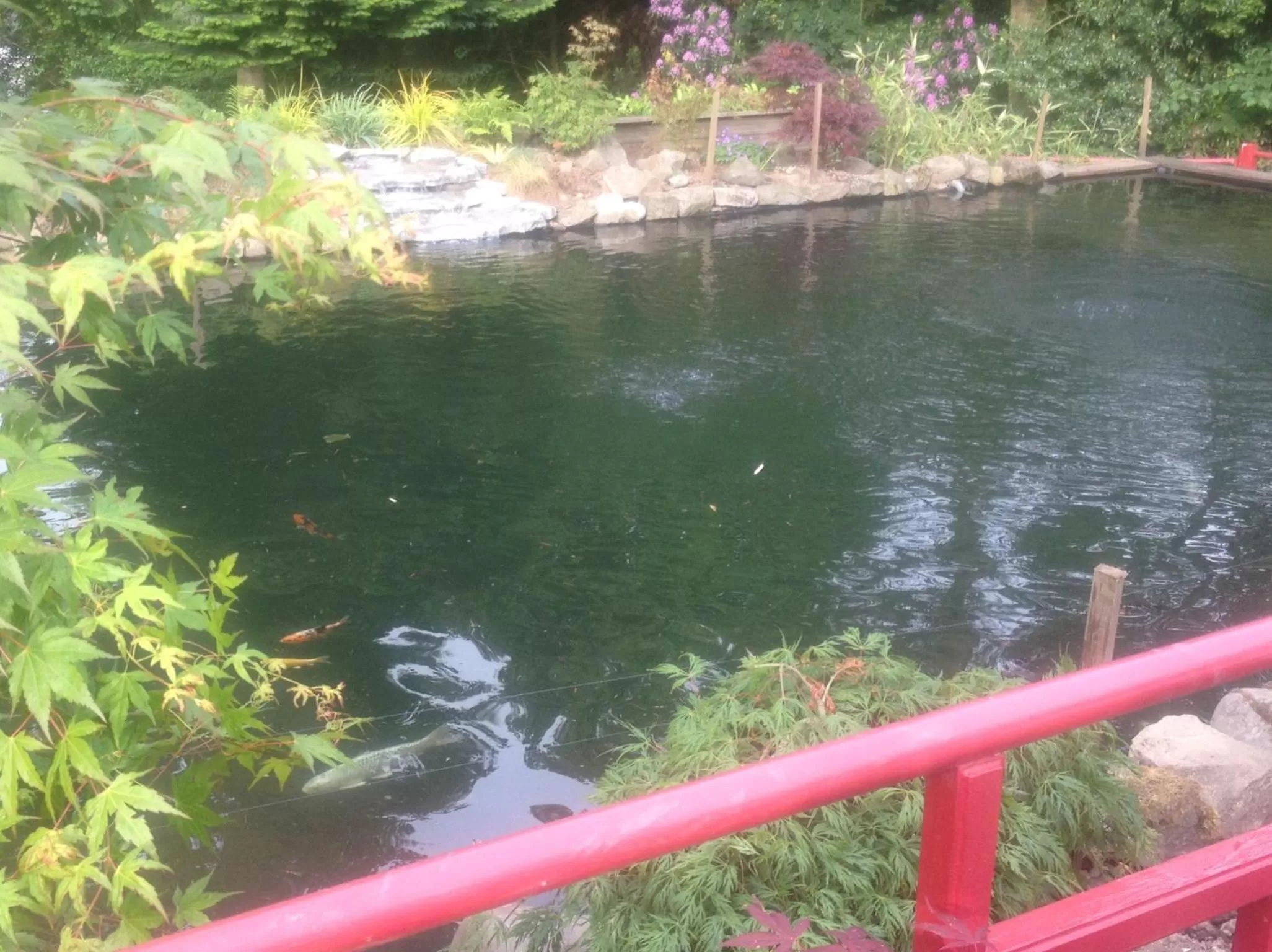 Garden in All Seasons Philipburn, BW Signature Collection