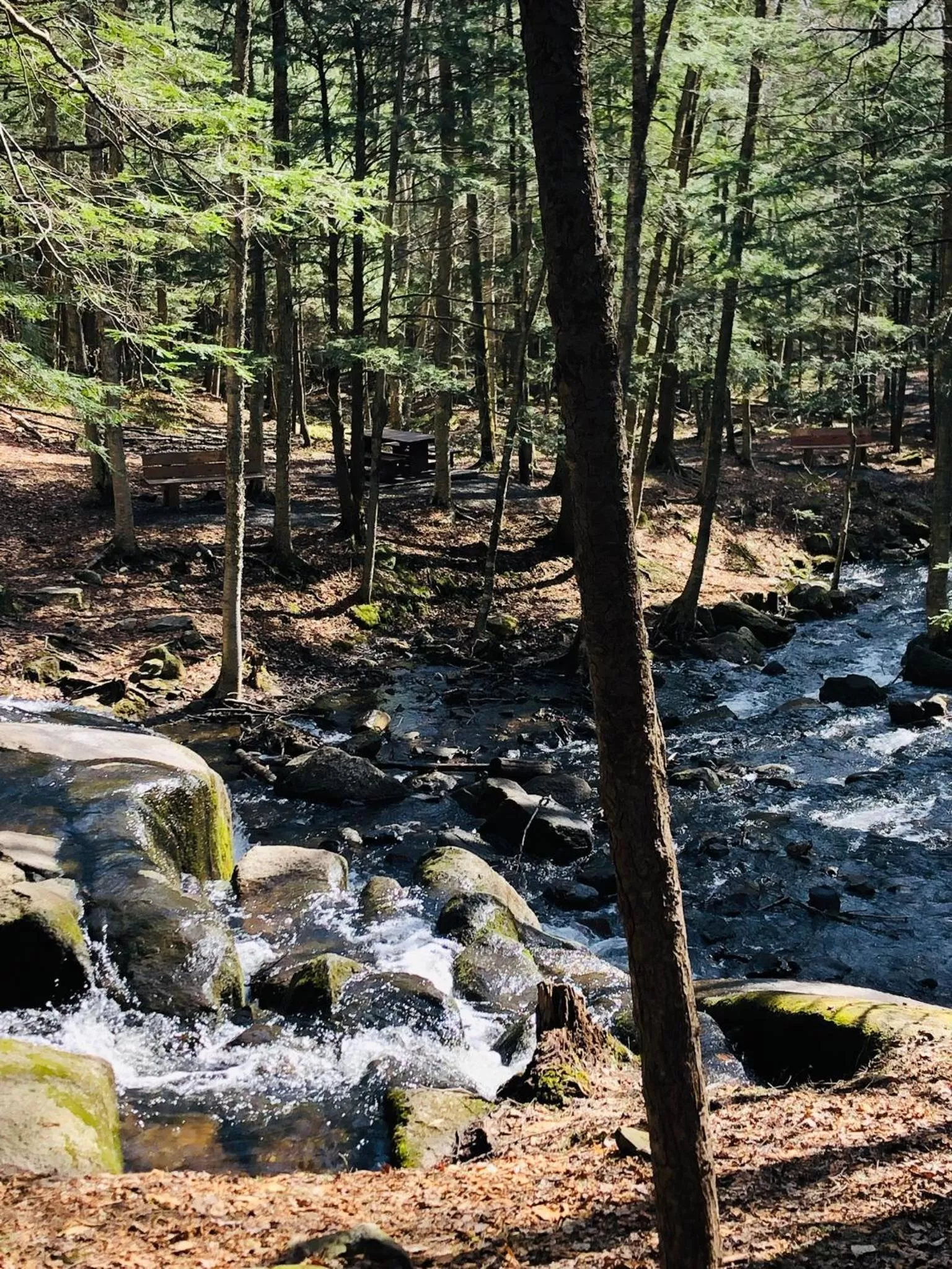 Natural landscape in Au Gré Du Temps - Gîte B&B