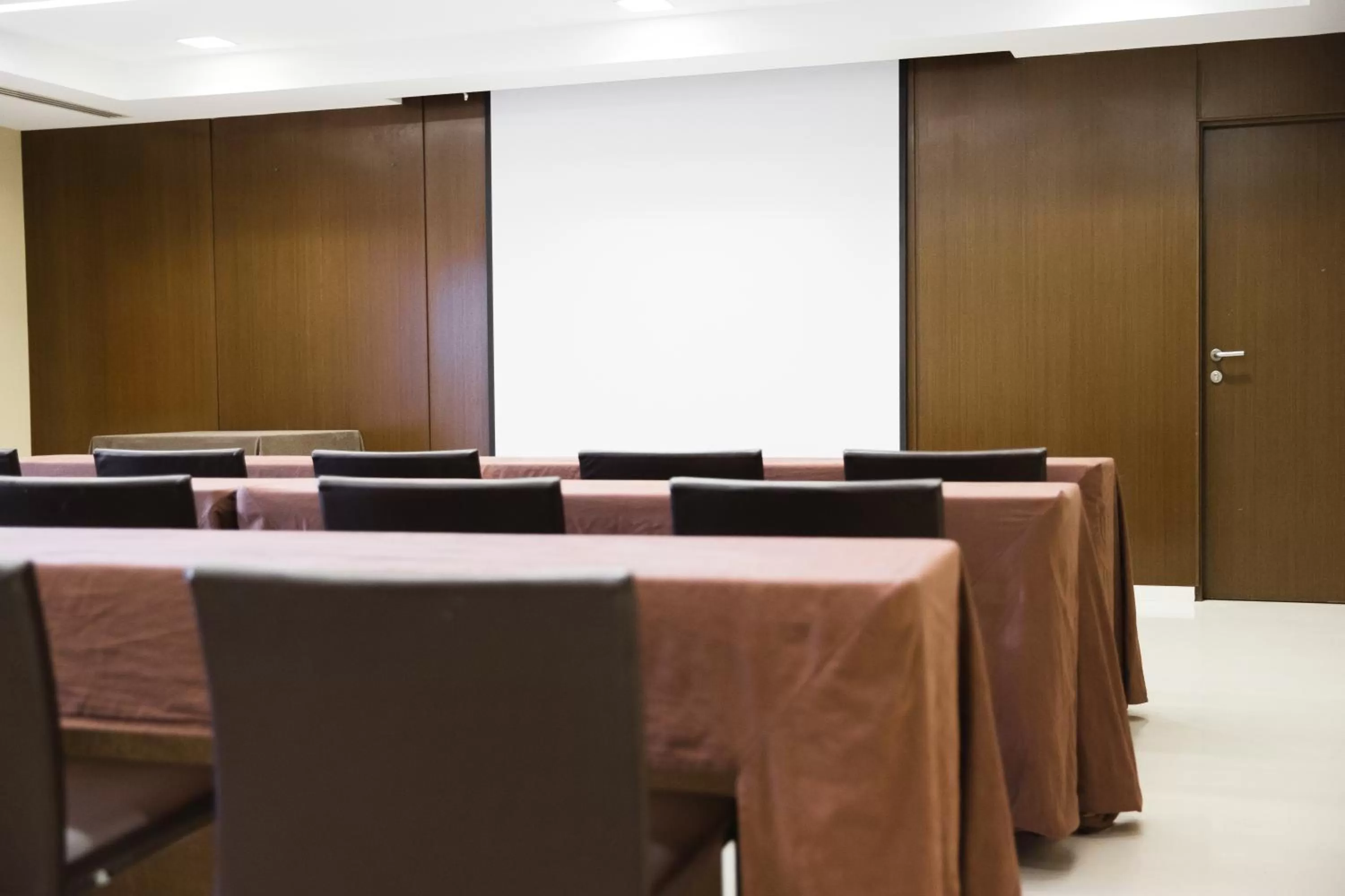 Business facilities in Hotel Veracruz Plaza & Spa