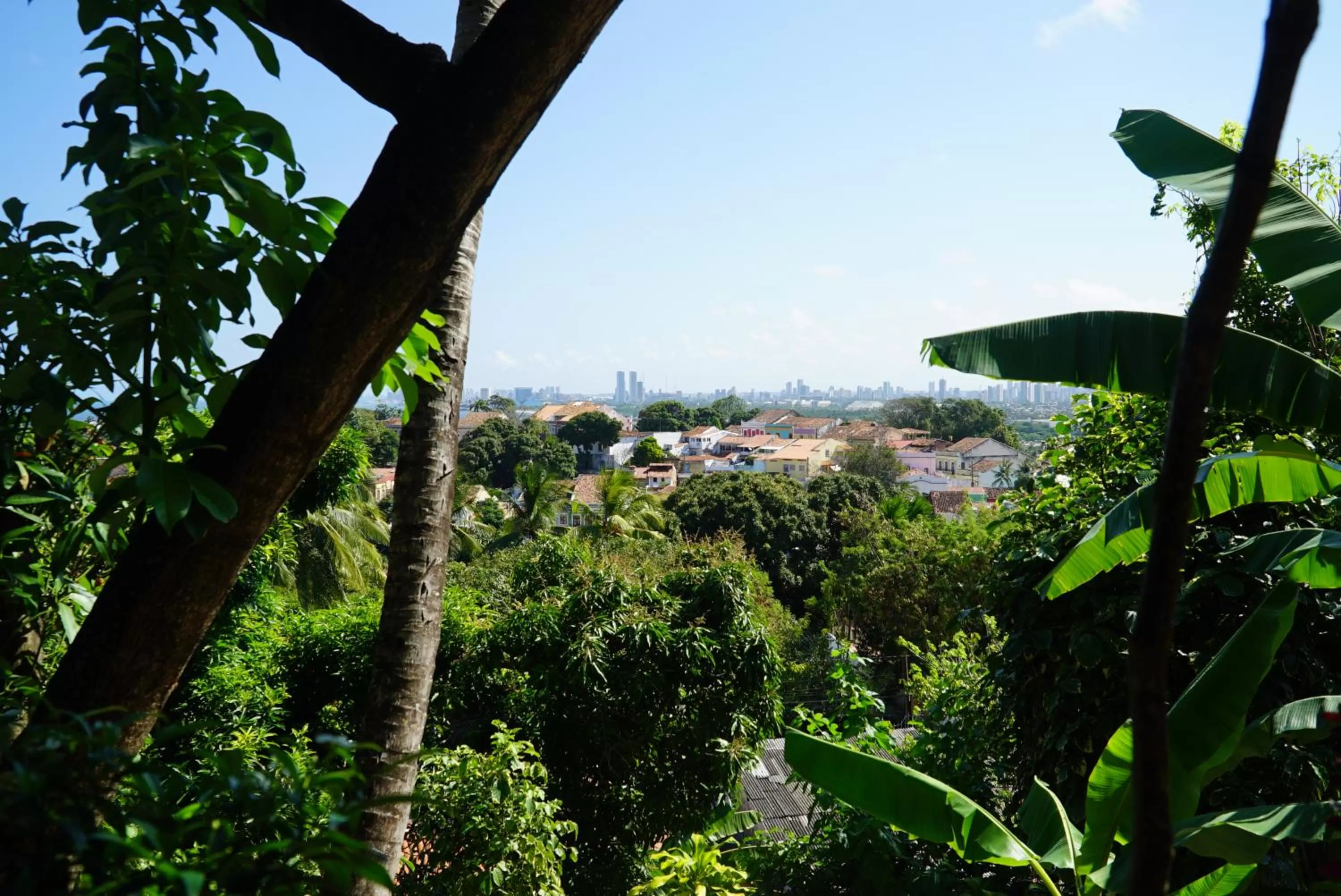 City view in Irradiante