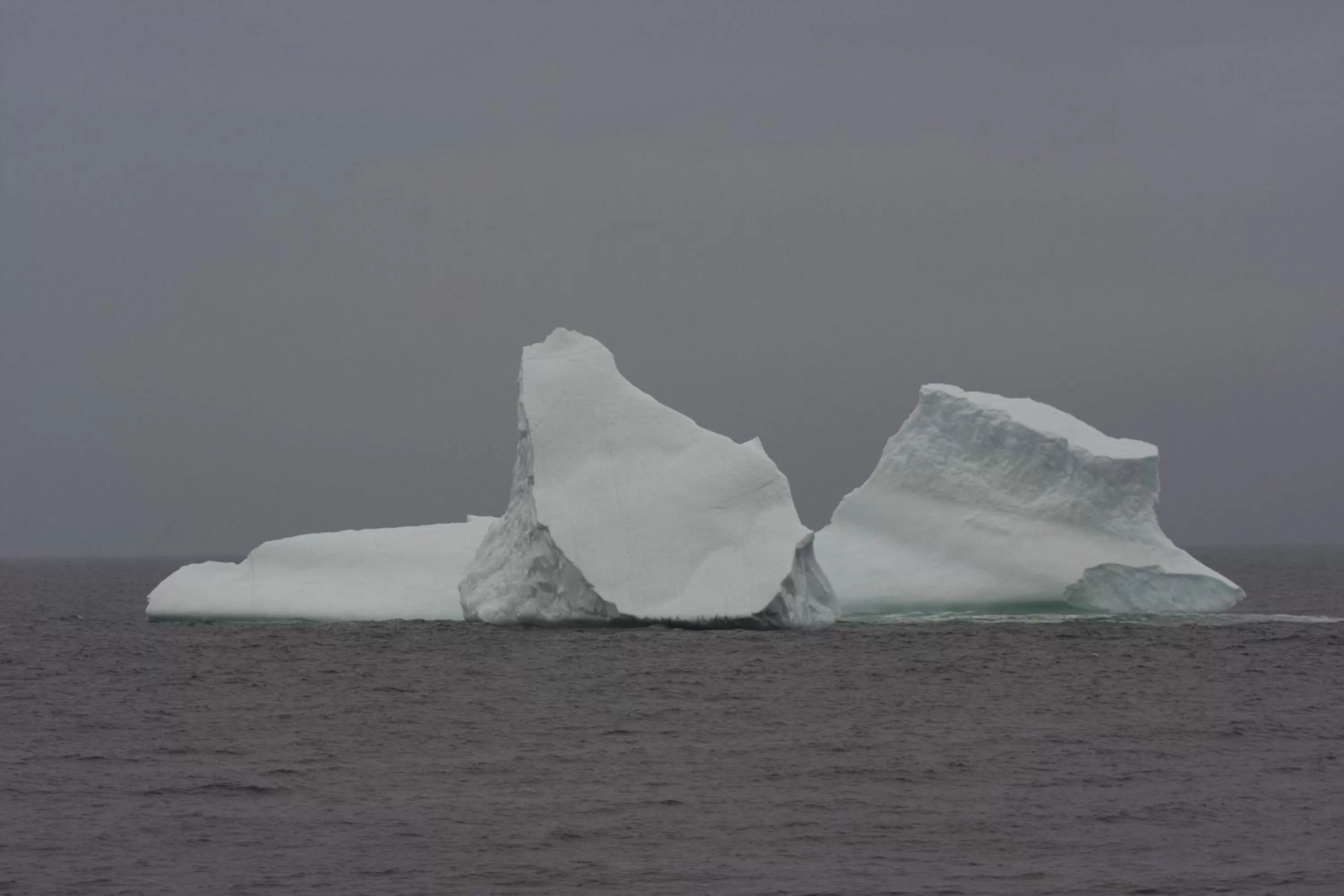 Other in Deer Lake Horizon Hotel, BW Signature Collection