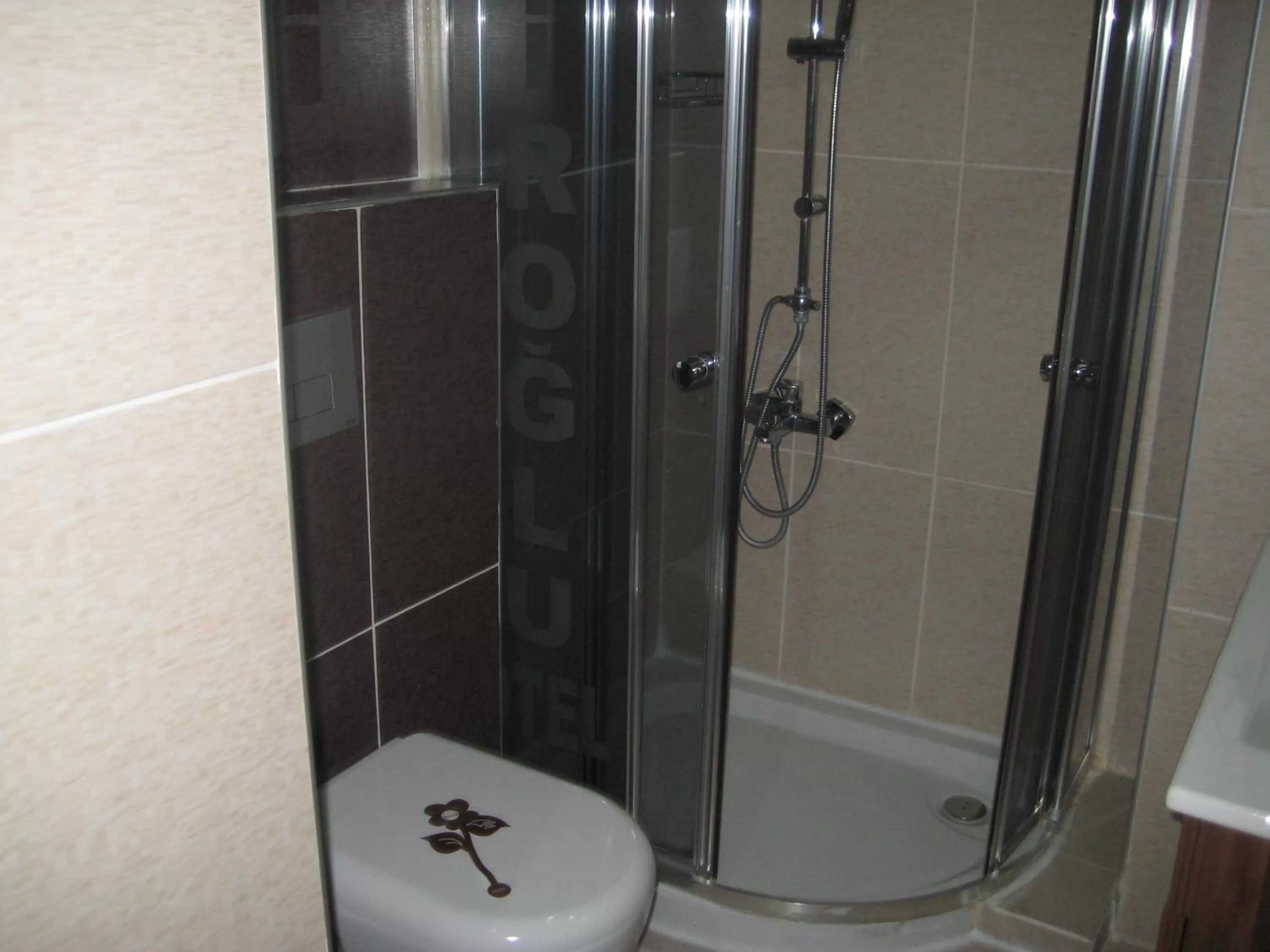 Shower, Bathroom in Miroglu Hotel