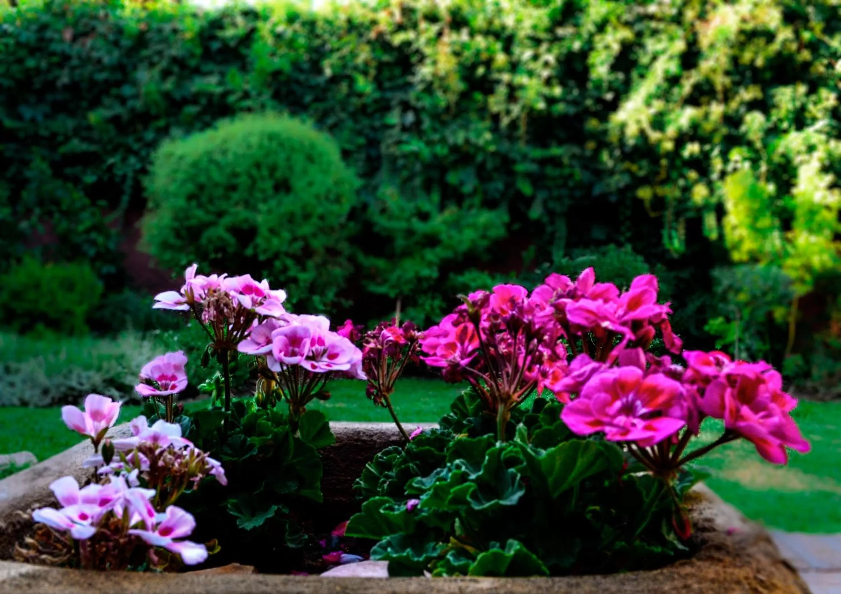 Facade/entrance in Hostal Cepa Noble