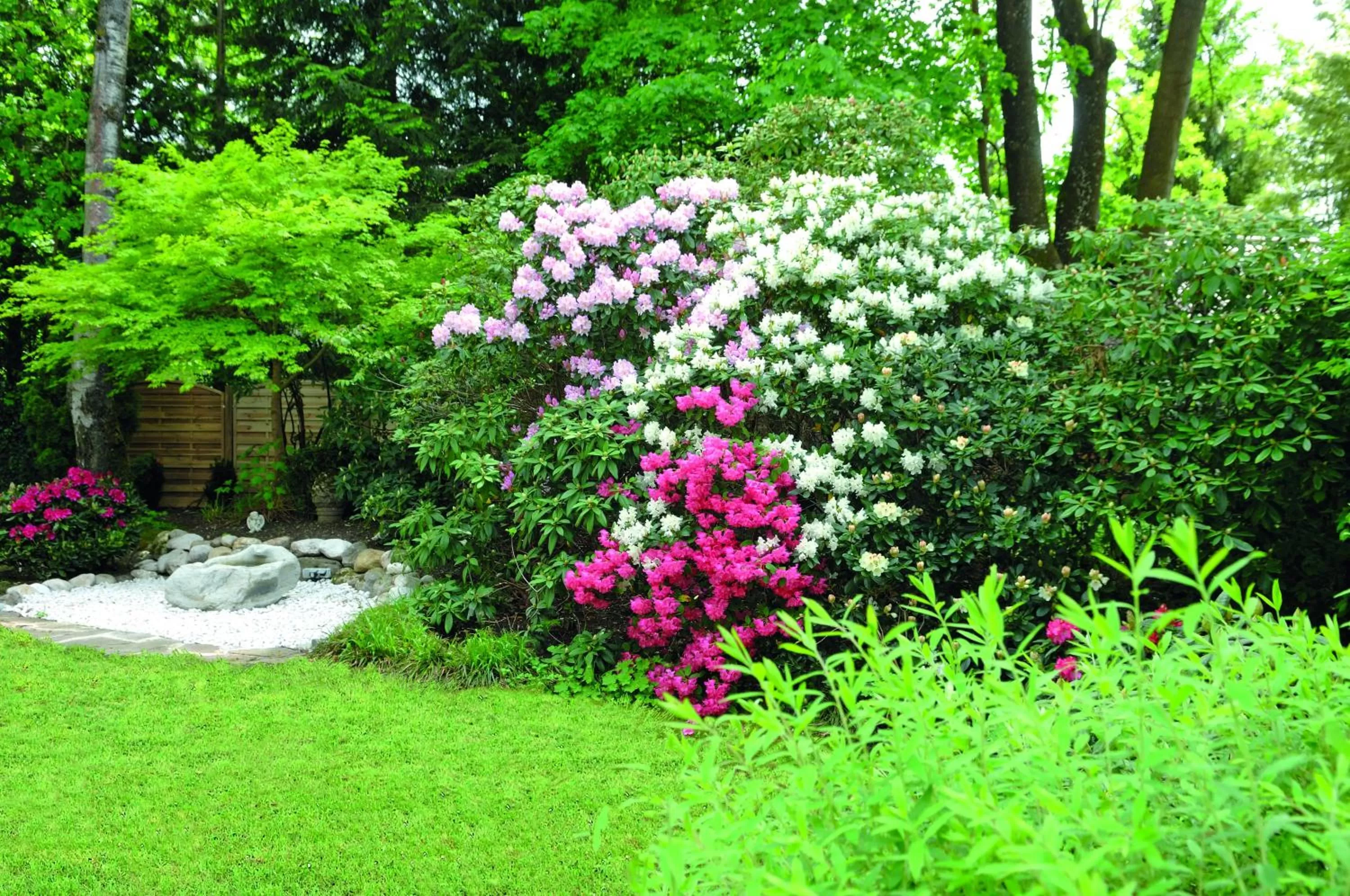 Garden in Hotel Alpenhof - ruhige Wohlfühloase zwischen München, dem Fünf-Seenland und den Bergen, in S-Bahnnähe