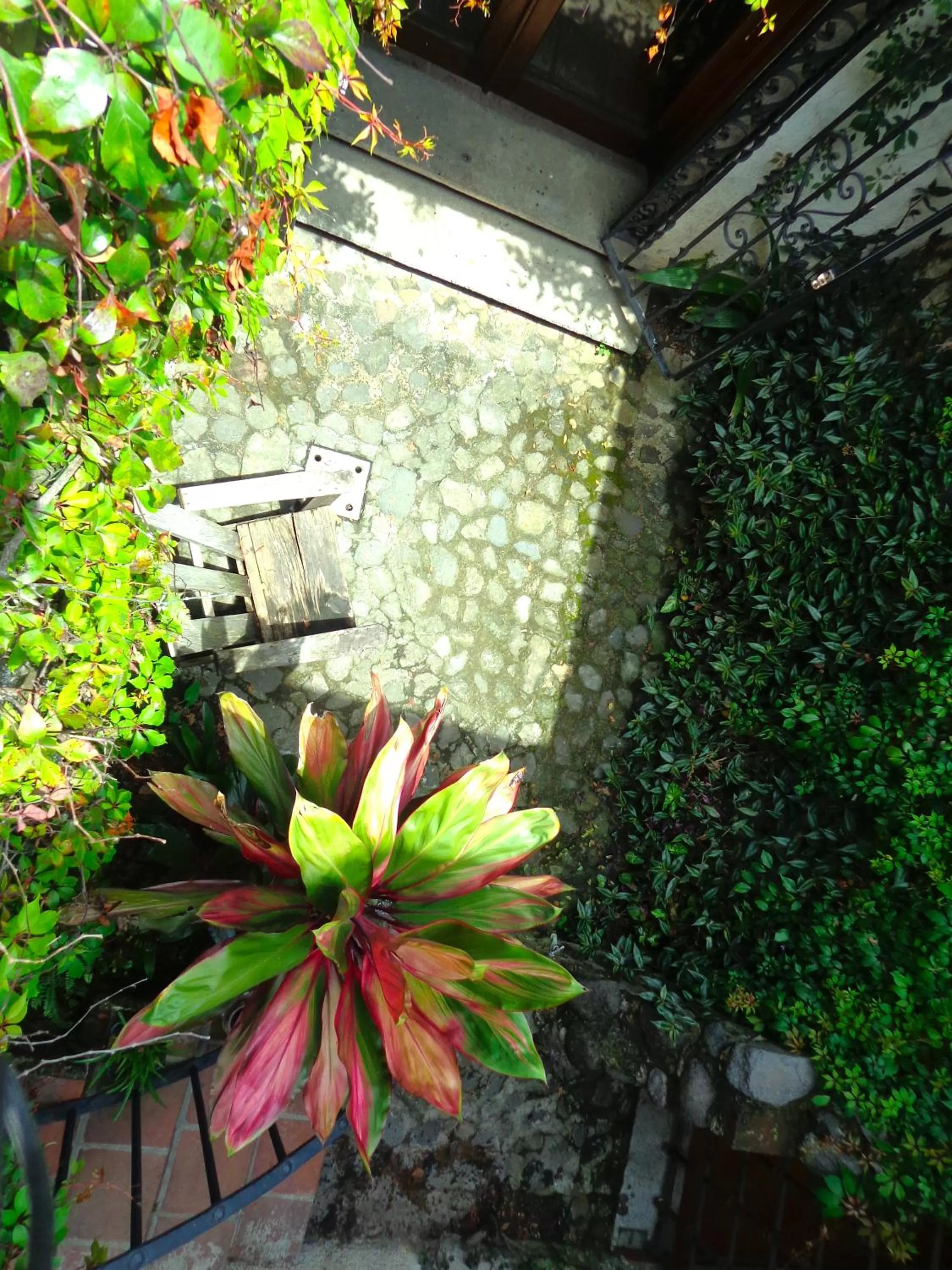 Cissus Hotel Boutique