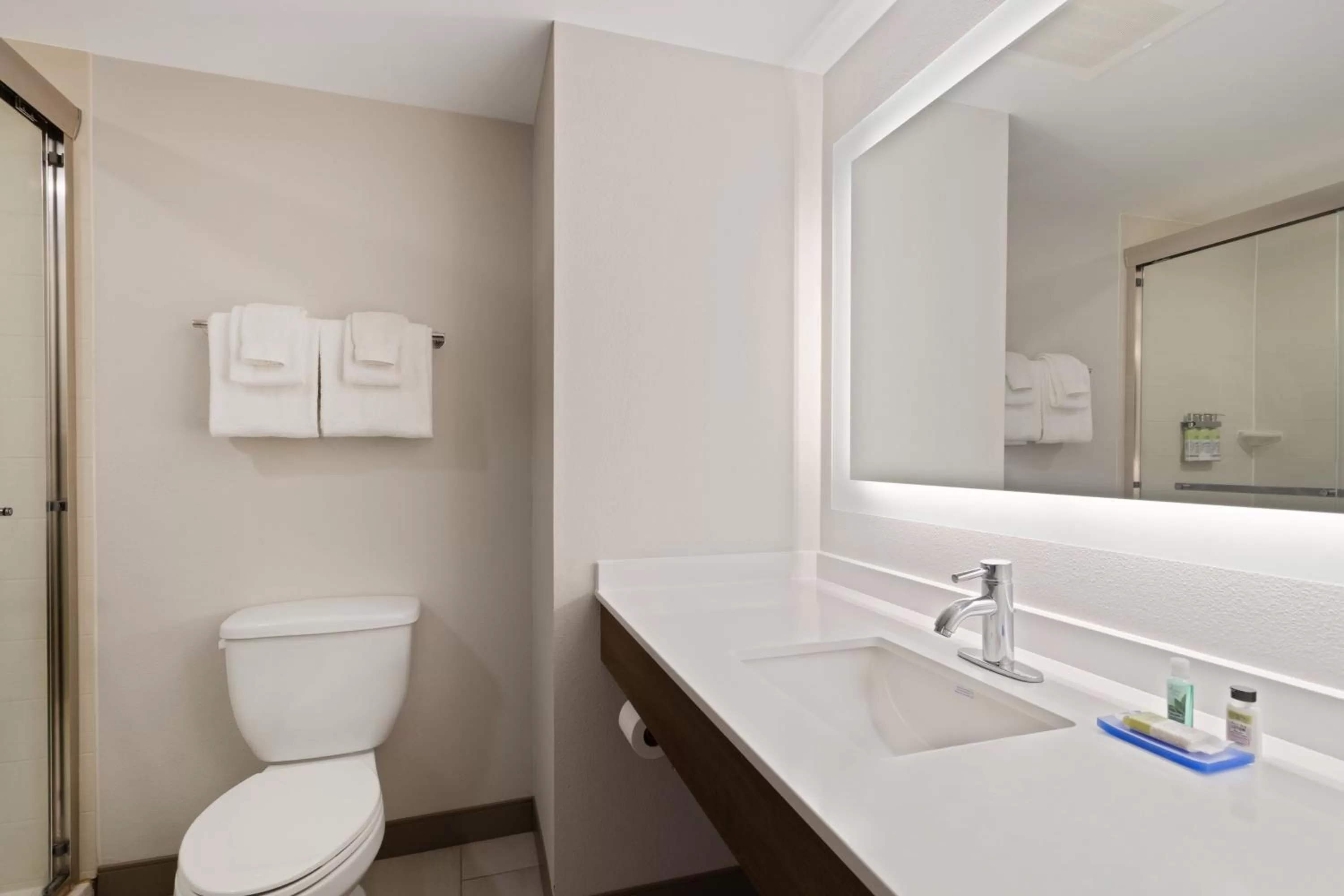 Photo of the whole room in Holiday Inn Express Hotel & Suites Largo-Clearwater by IHG