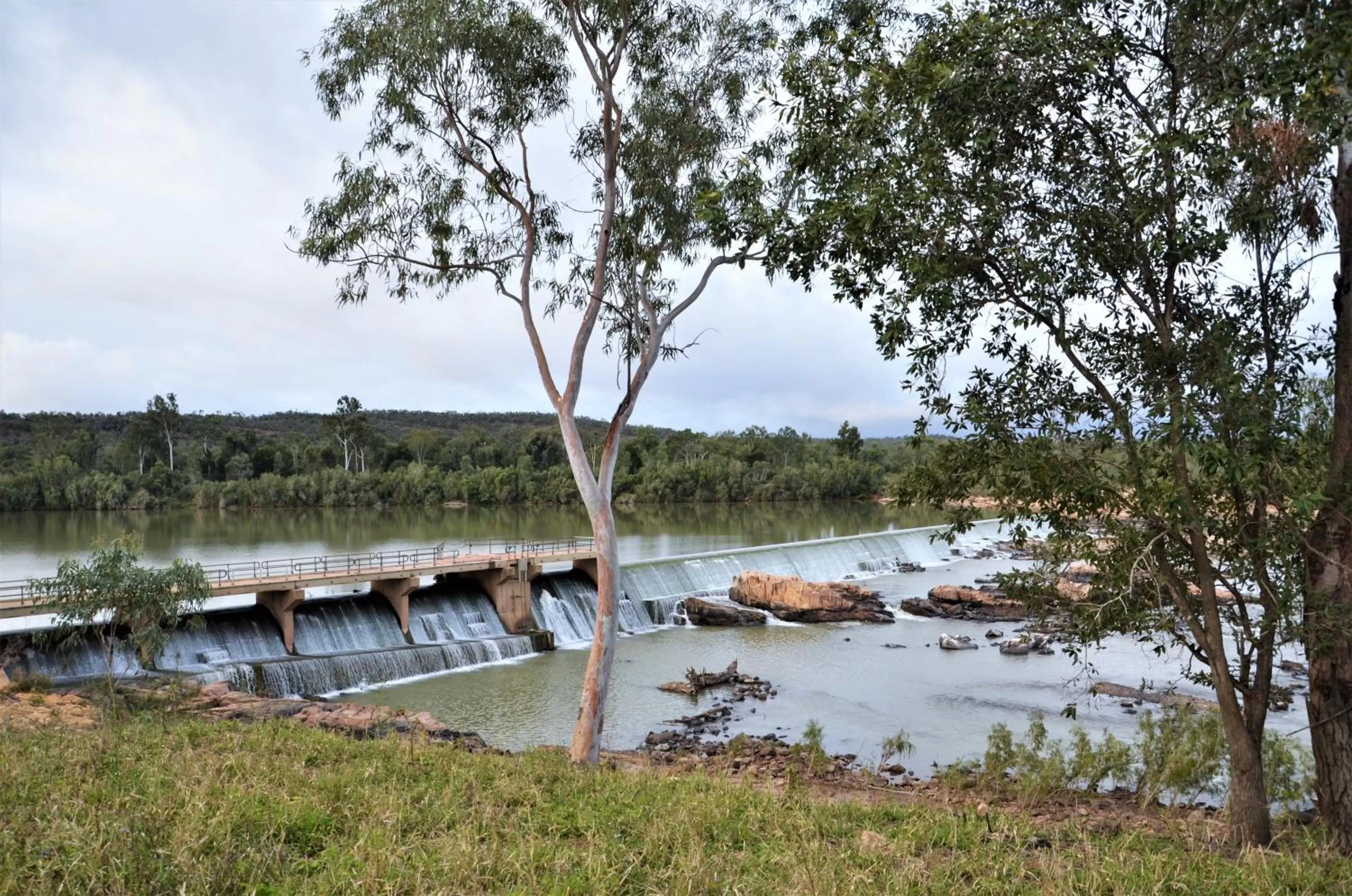 Natural landscape in Gold City Motel