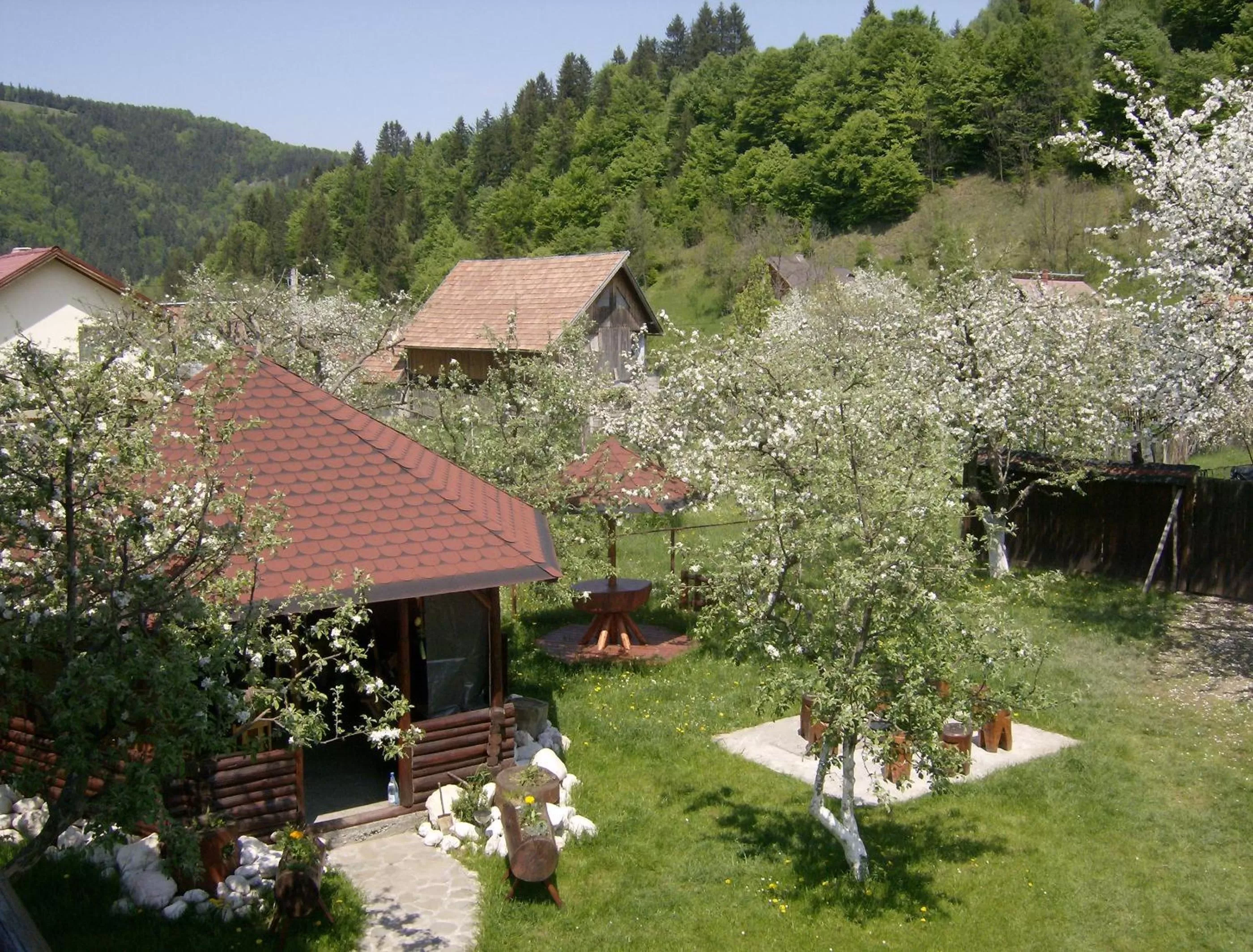 Bird's eye view, Bird's-eye View in Pensiunea Luminita