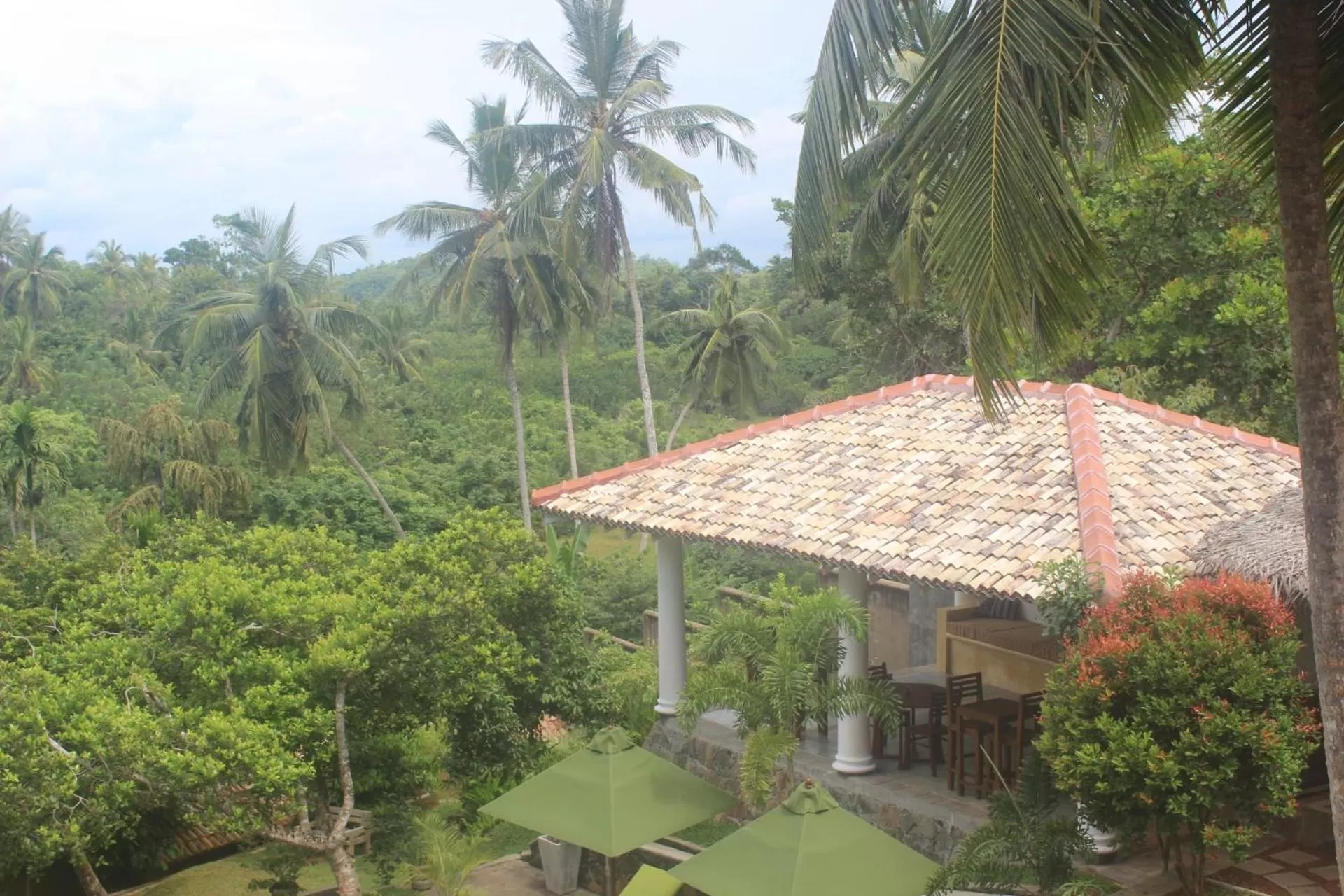 Garden view in The Spice House Mirissa